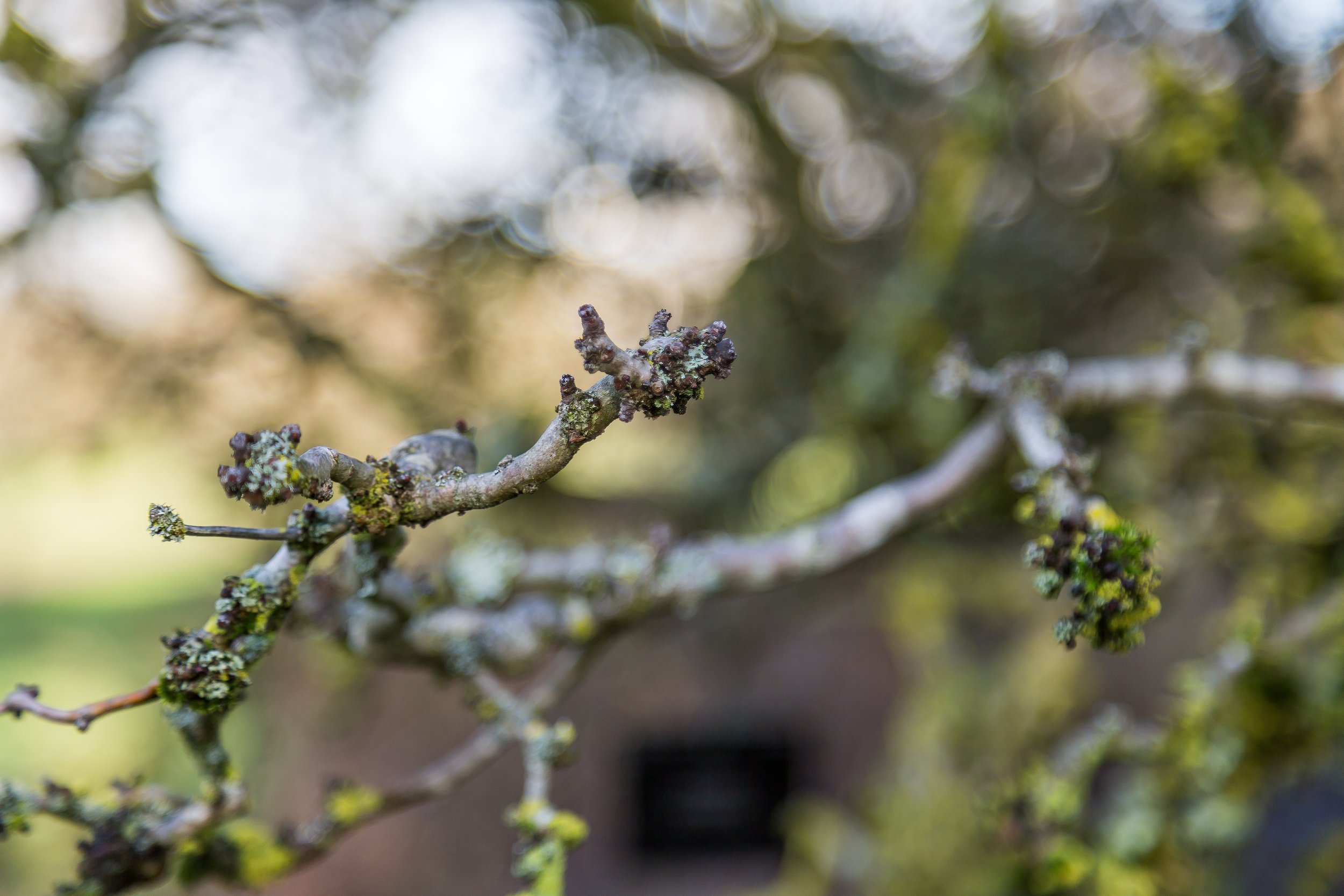 KewGdns_058-top.jpg