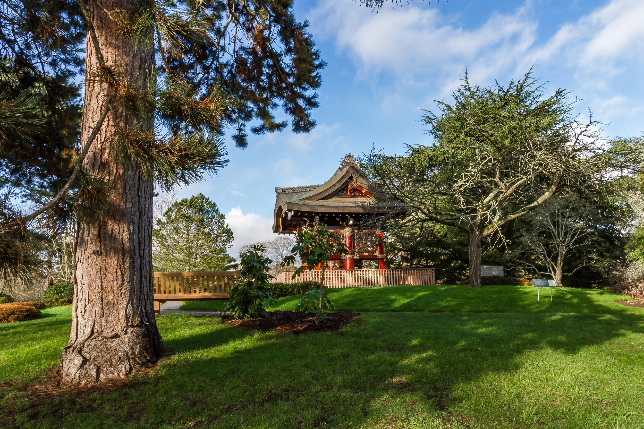 KewGdns_064-top.jpg