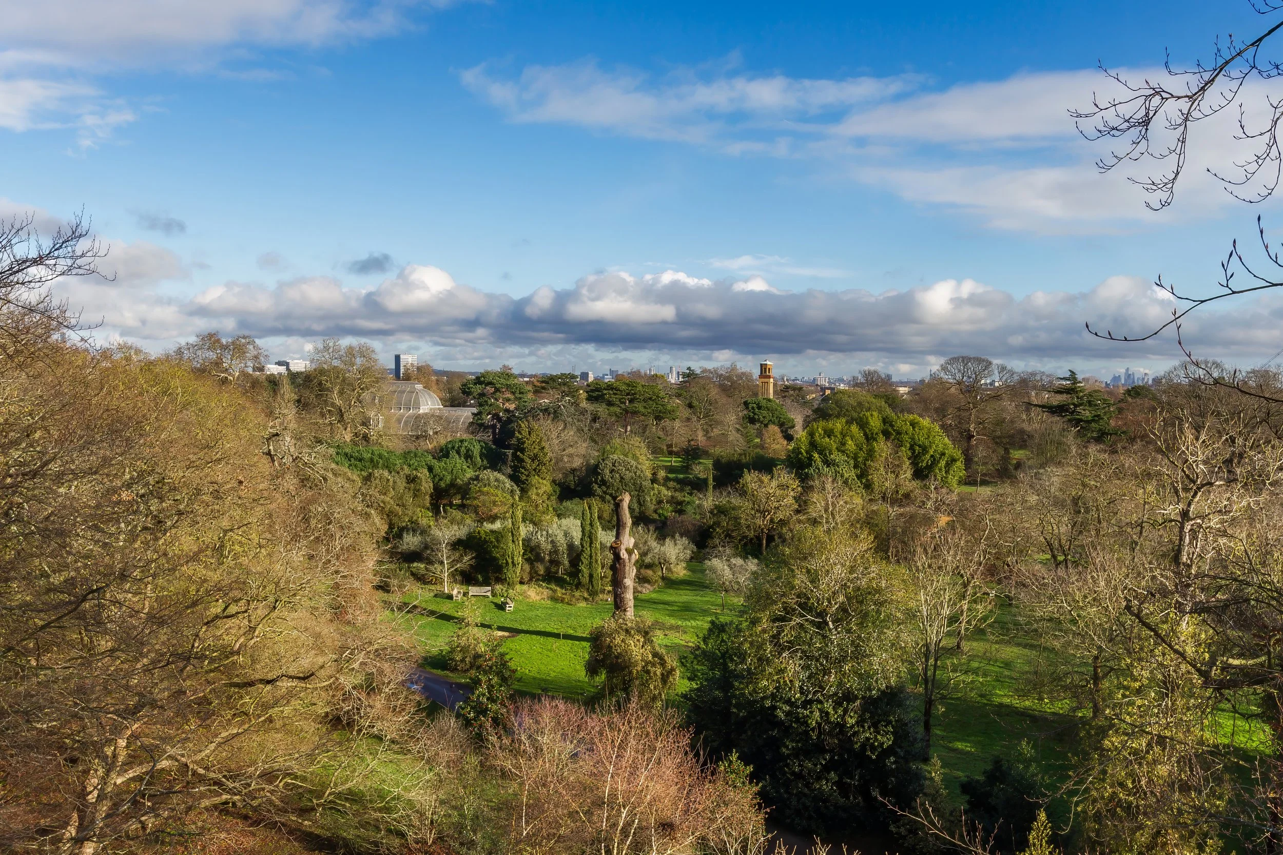 KewGdns_072-top.jpg