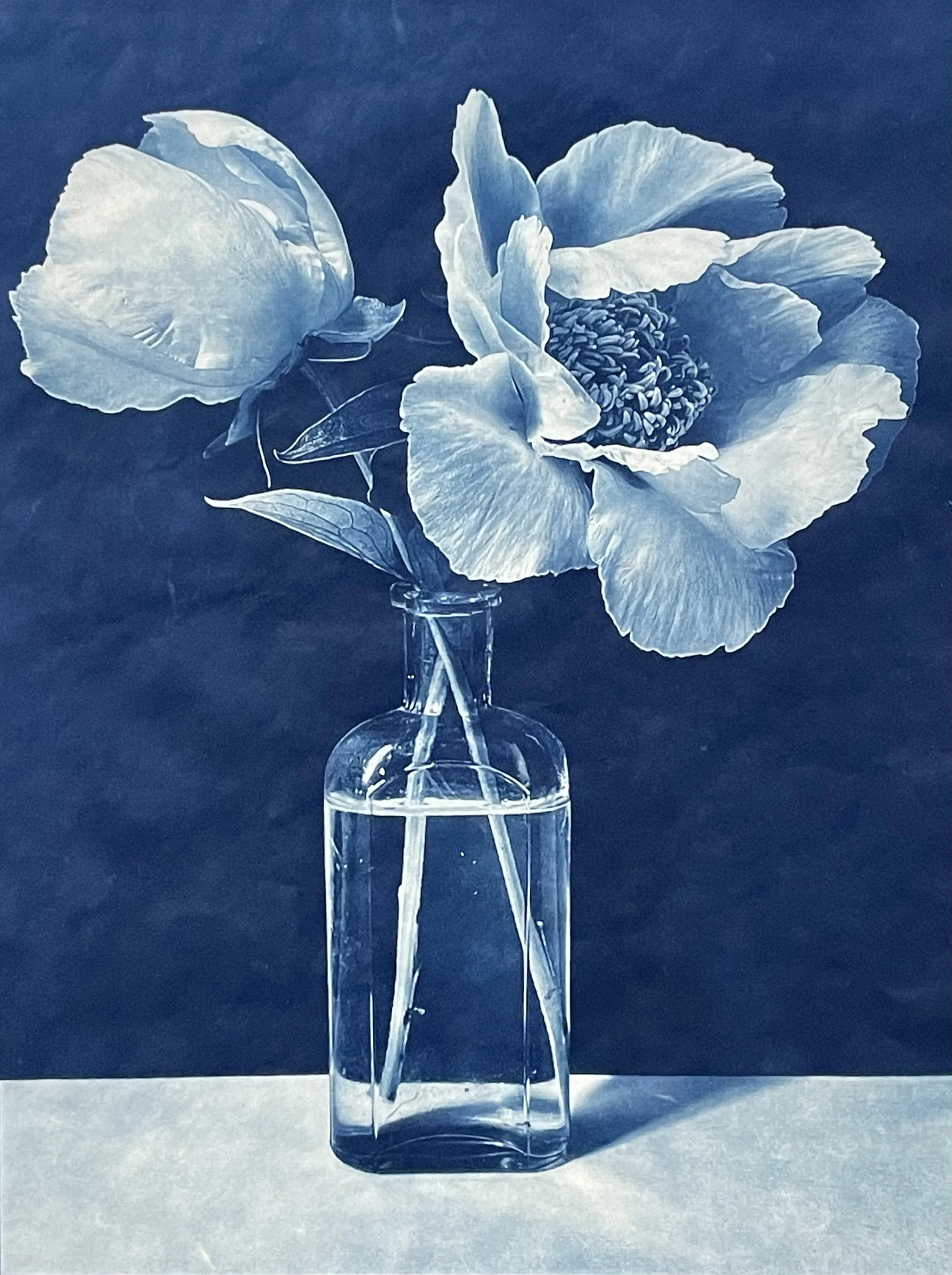 Claudia Hollister, solo exhibition, Santa Fe