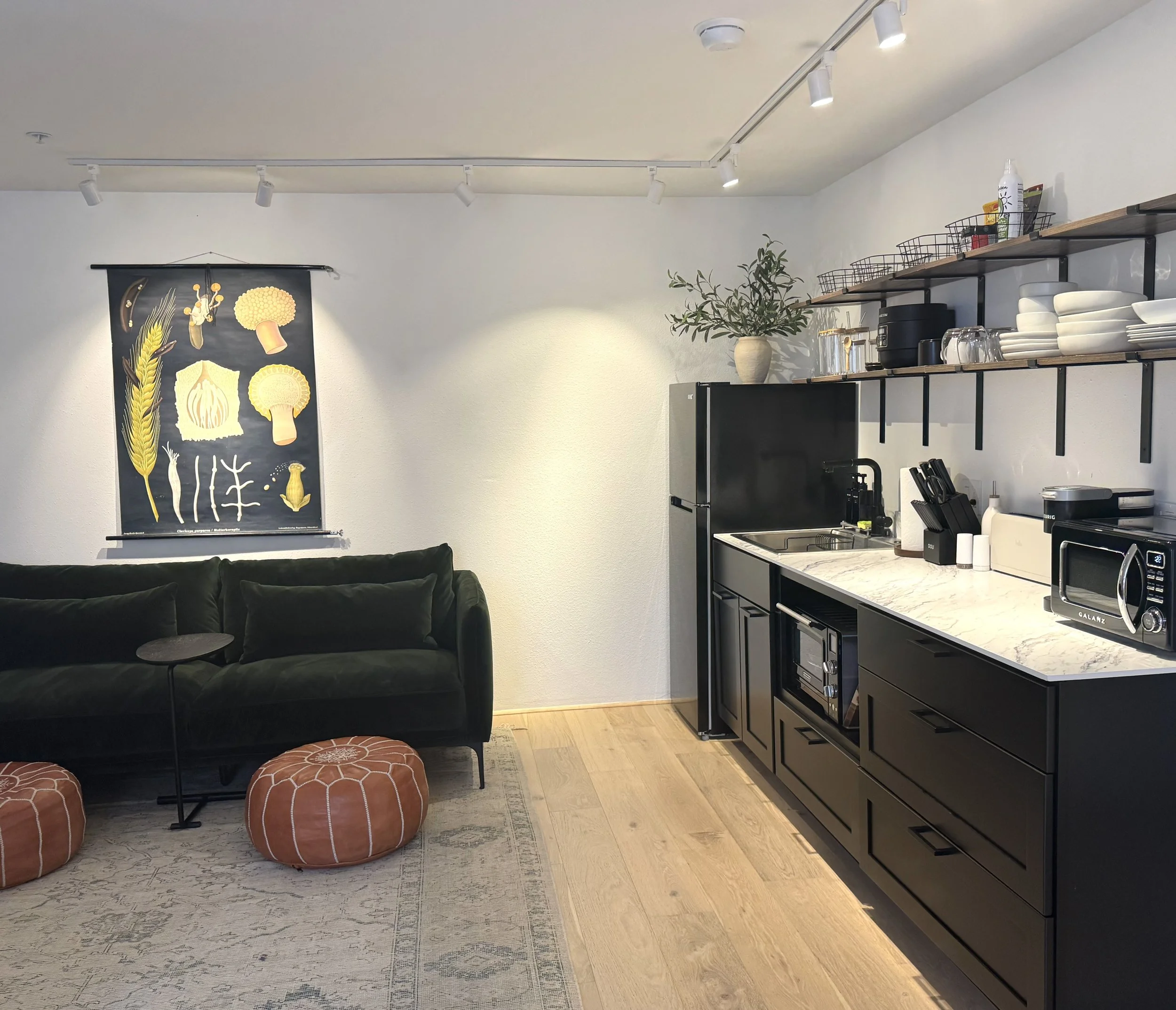 SAGE: Exterior entrance, king bed that converts to 2 twins for sharing, walk-in shower, A/C, kitchenette, up to 2 people, 1 mo max stay, dogs permitted