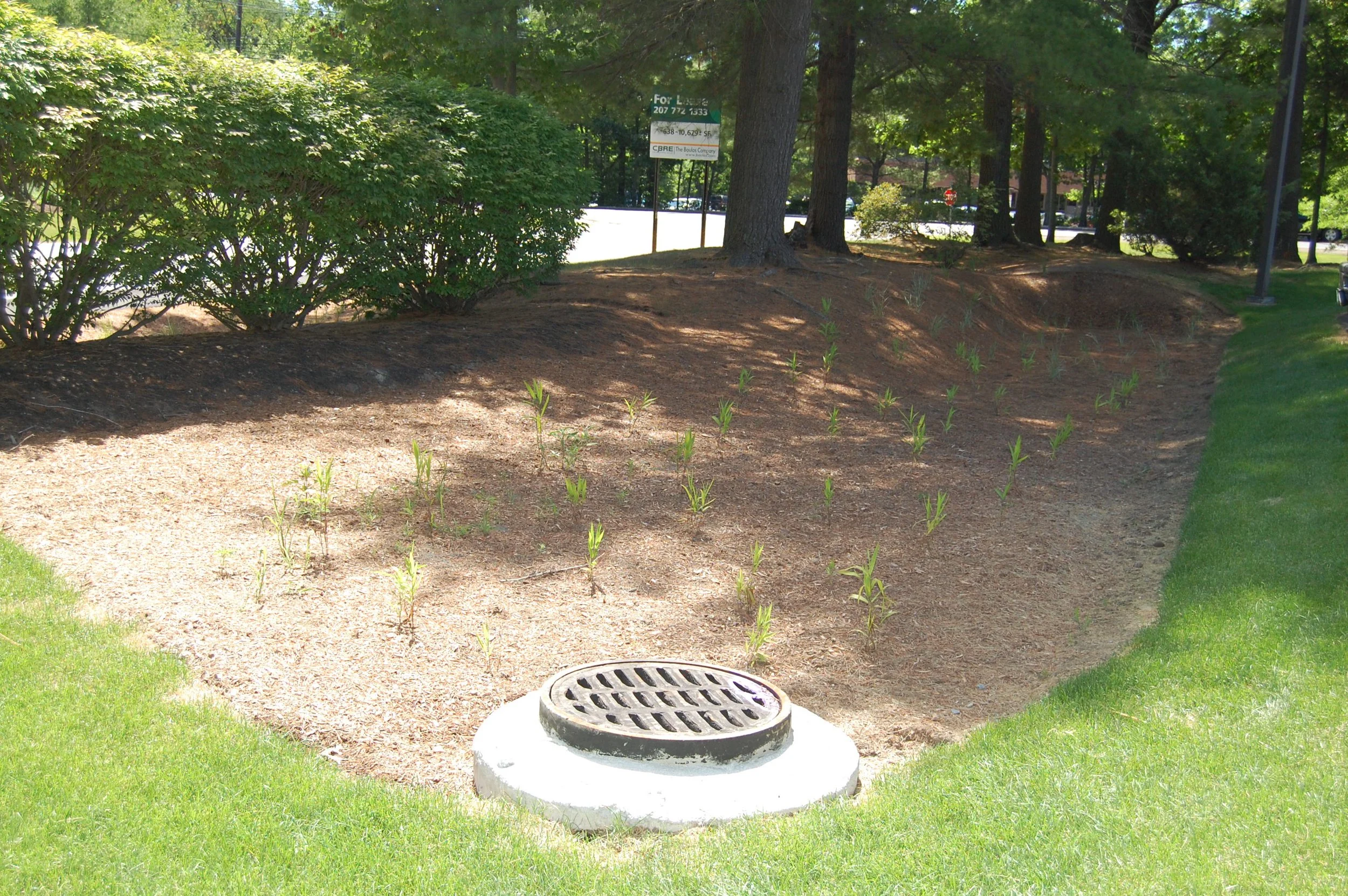 Darling landscaped filter.JPG