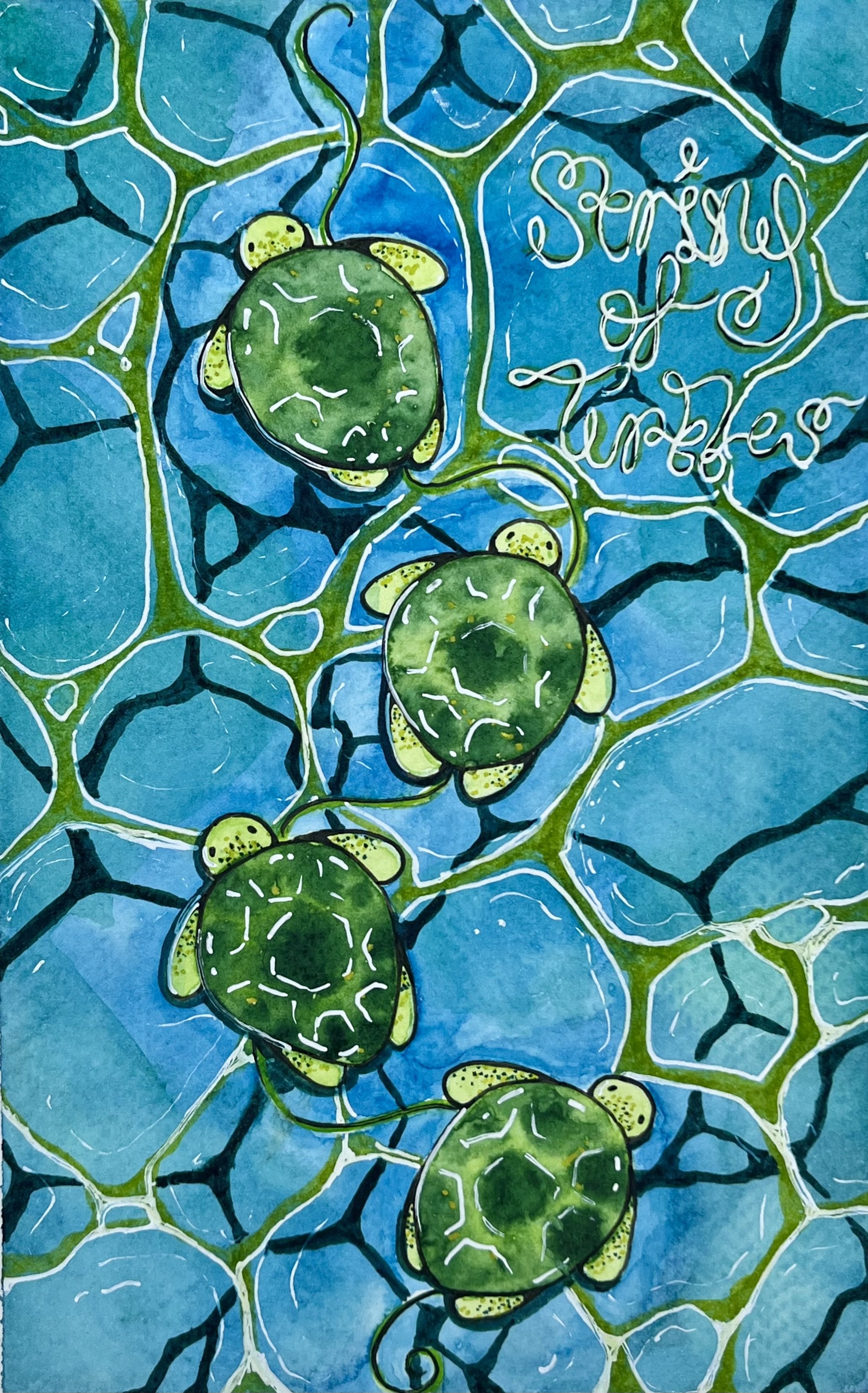 String of Turtles