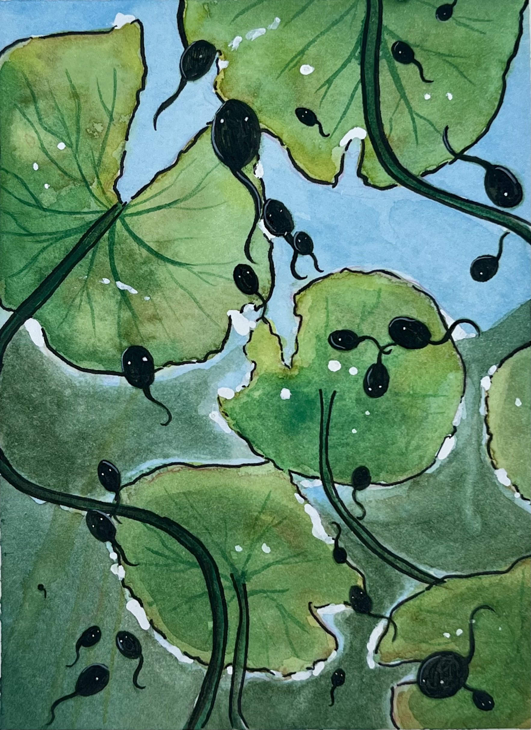 Tadpoles and Lily Pads