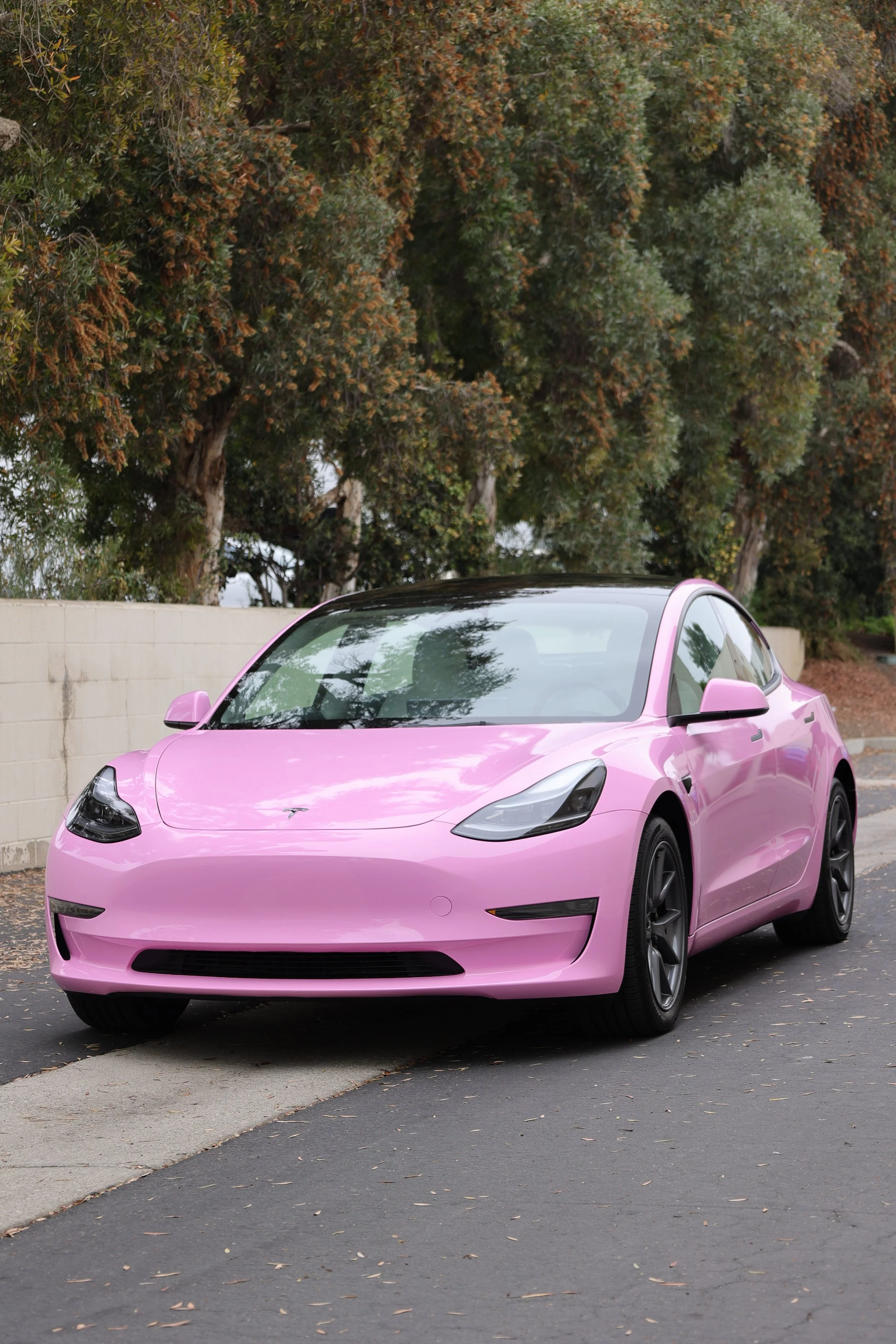 Photo Oct 13 2022, 10 49 24 AM.jpg