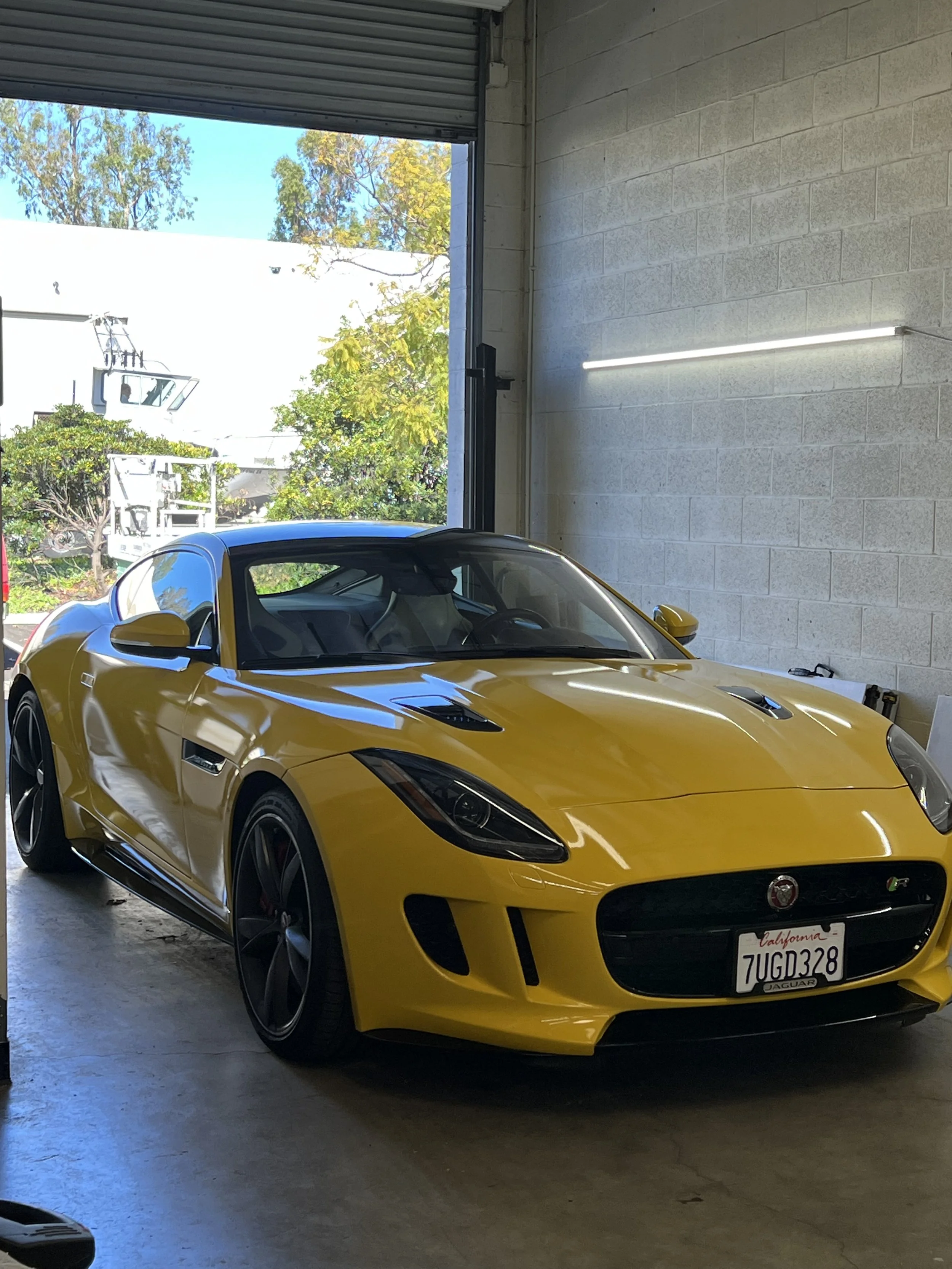 Photo Feb 10 2024, 1 01 22 PM.jpg