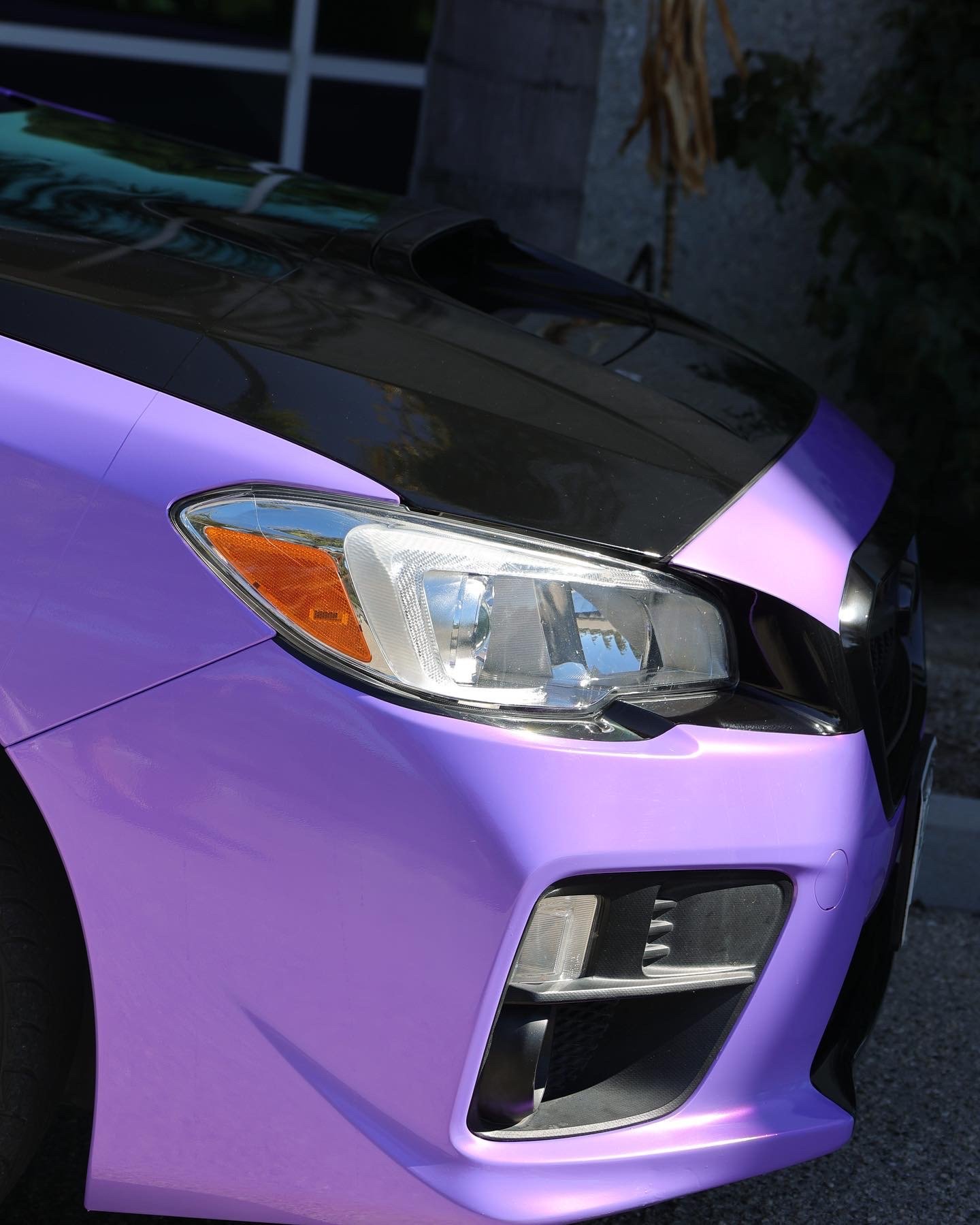 Photo Mar 01 2024, 8 29 49 PM (2).jpg