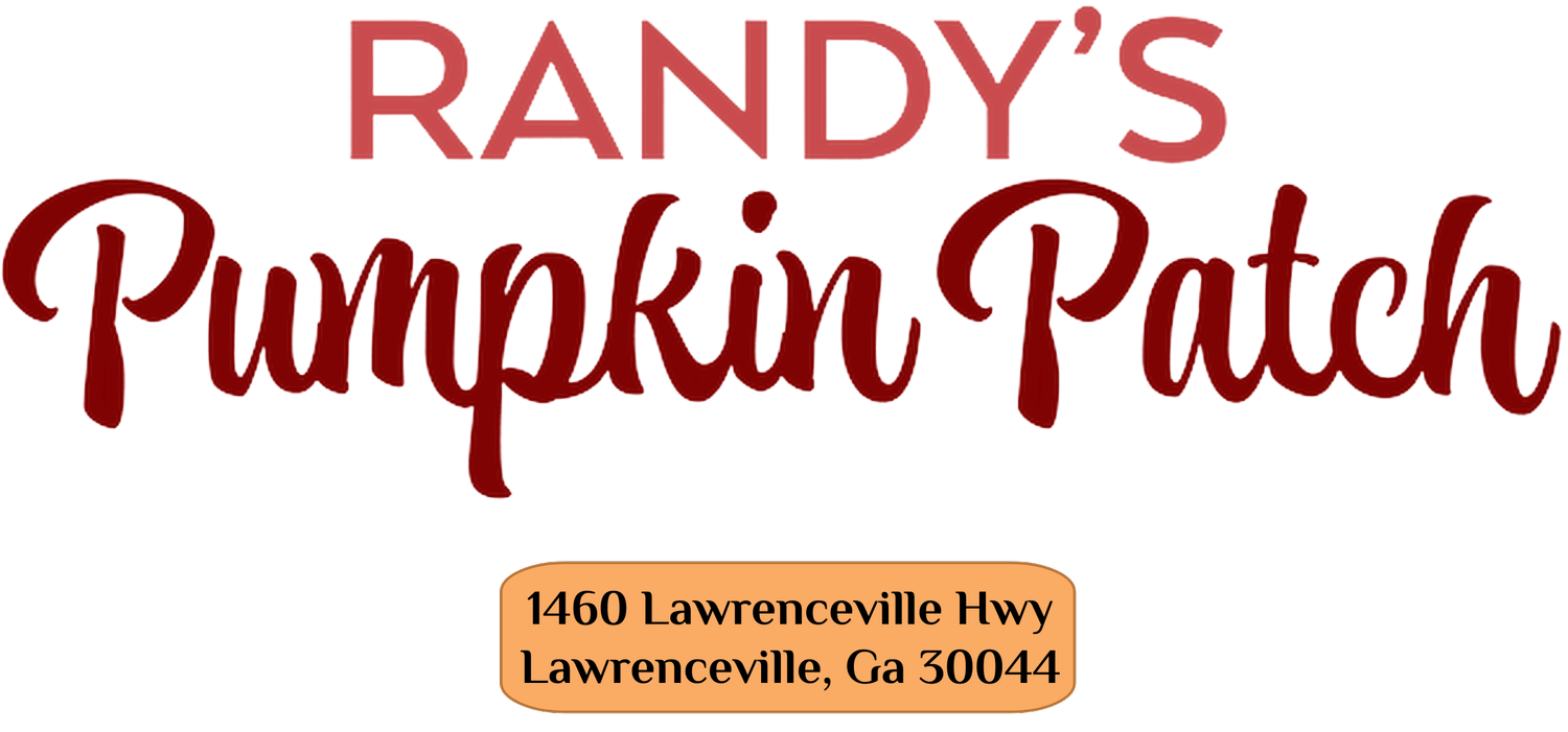 Randy&#39;s Pumpkin Patch