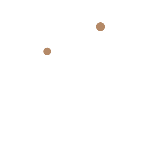 Tara Jenkins Designs Brandmark