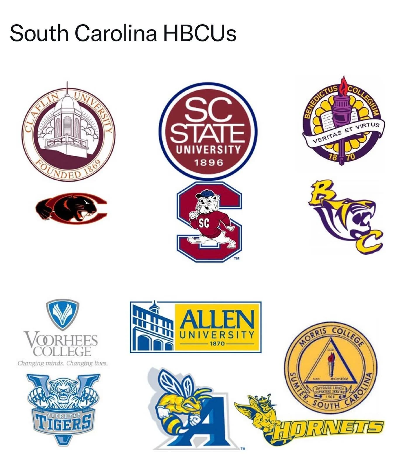 🎓 Links Love HBCU Spotlight: South Carolina Edition 💚
Did you know that South Carolina is home to 8 proud HBCUs that have been empowering Black excellence for generations?
From Columbia to Orangeburg, these institutions have shaped leaders, scholar