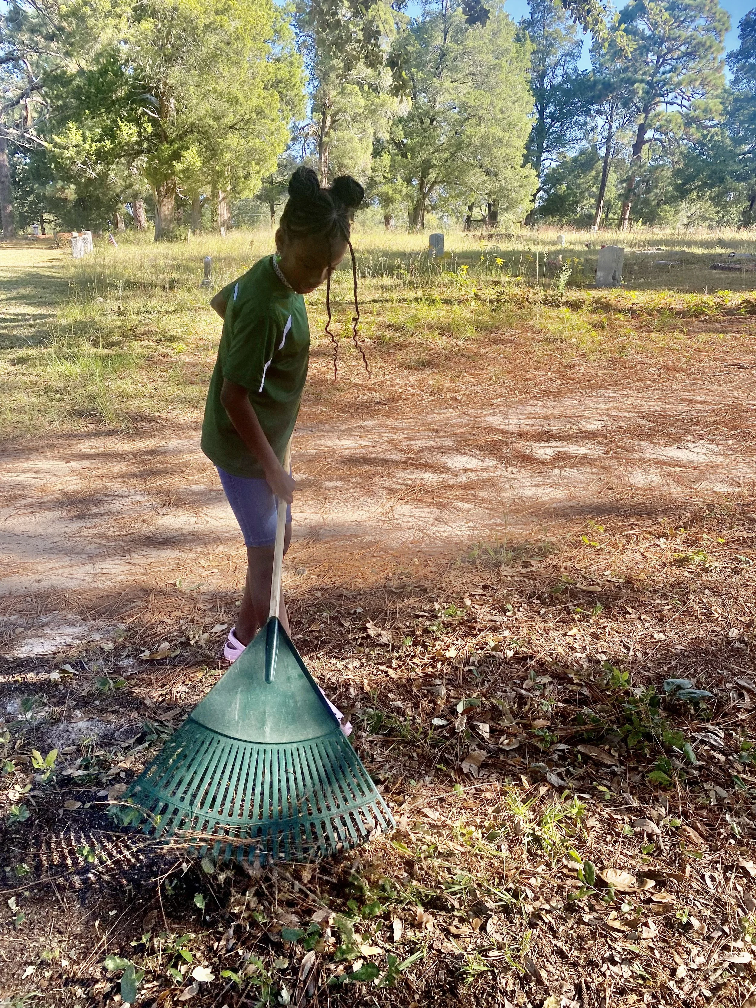 Pine Lawn Cleanup 2023_7.jpeg