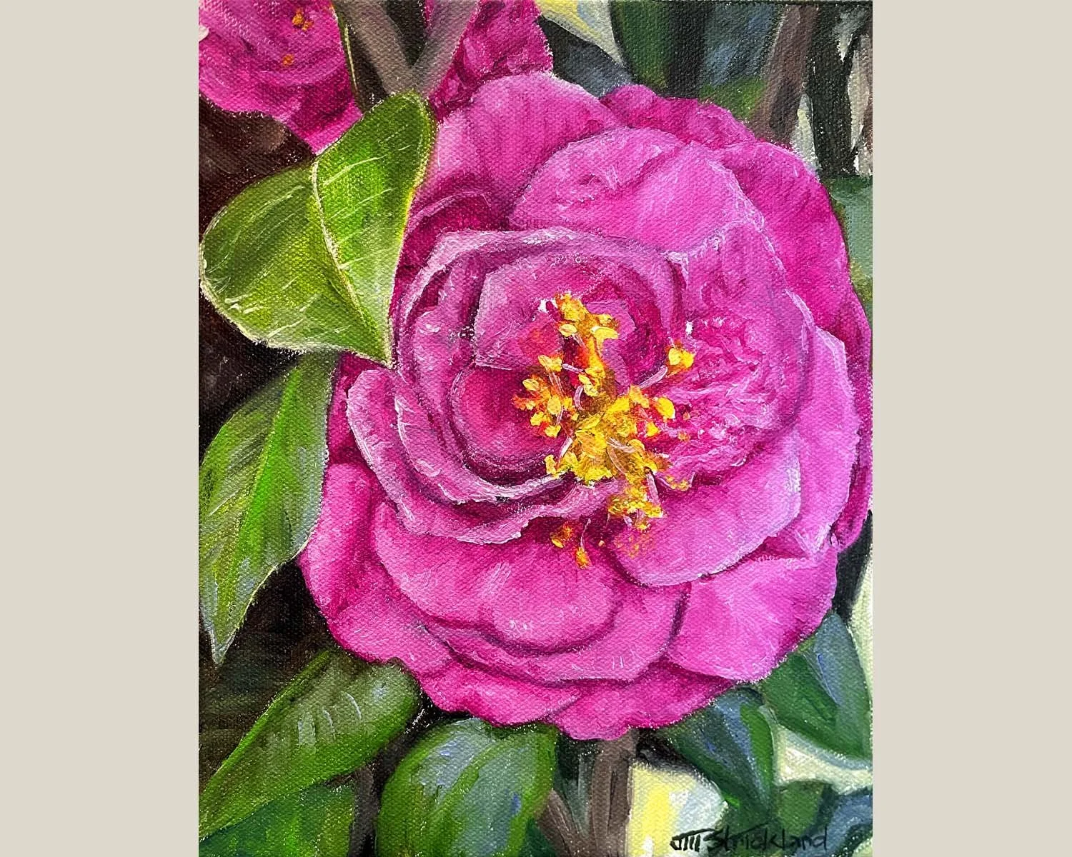 pink camellia.edit website.jpg