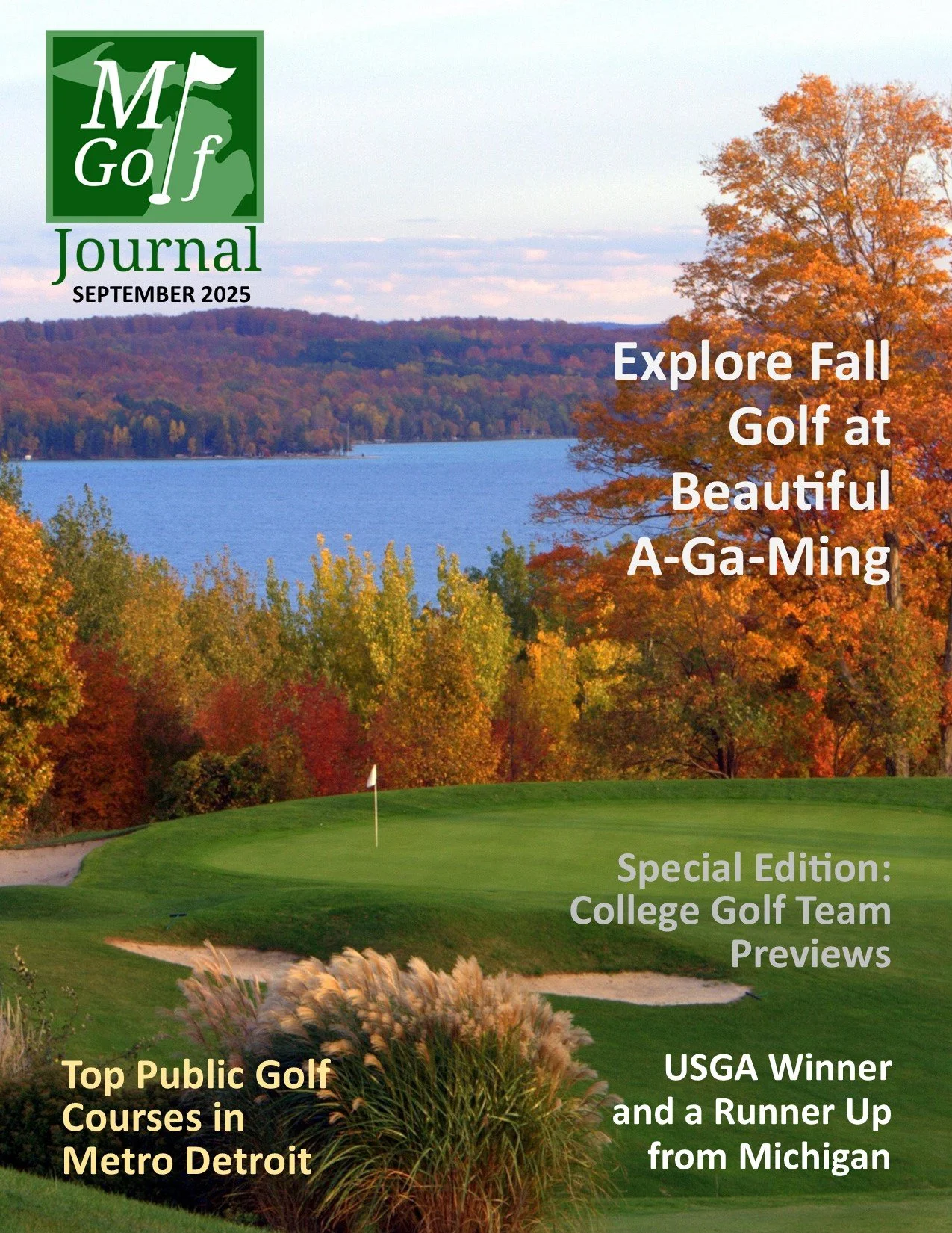 Cover design.1.5.jpg