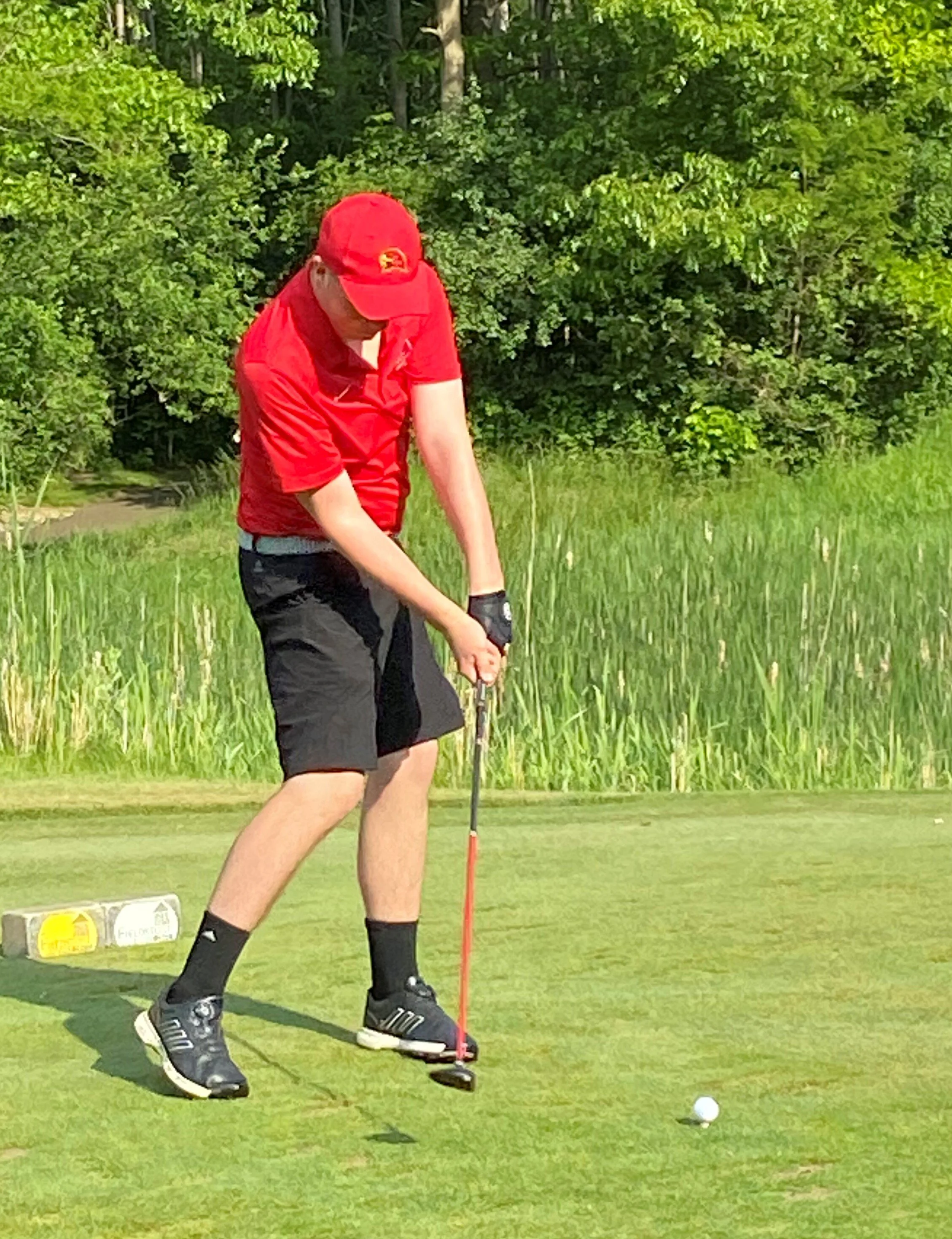 Bennett Lewis swing.final.jpg