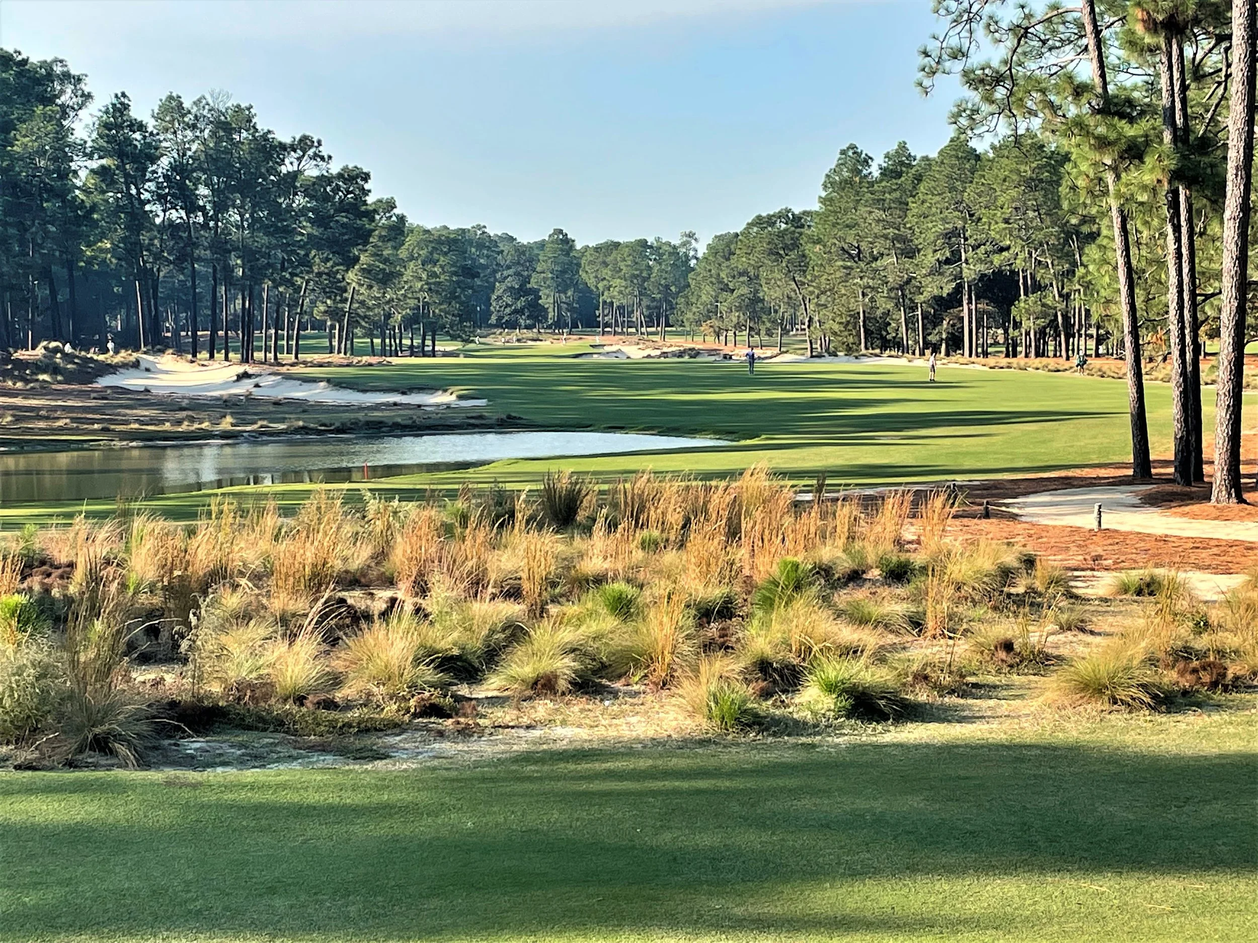Pinehurst No. 2 16th.jpg