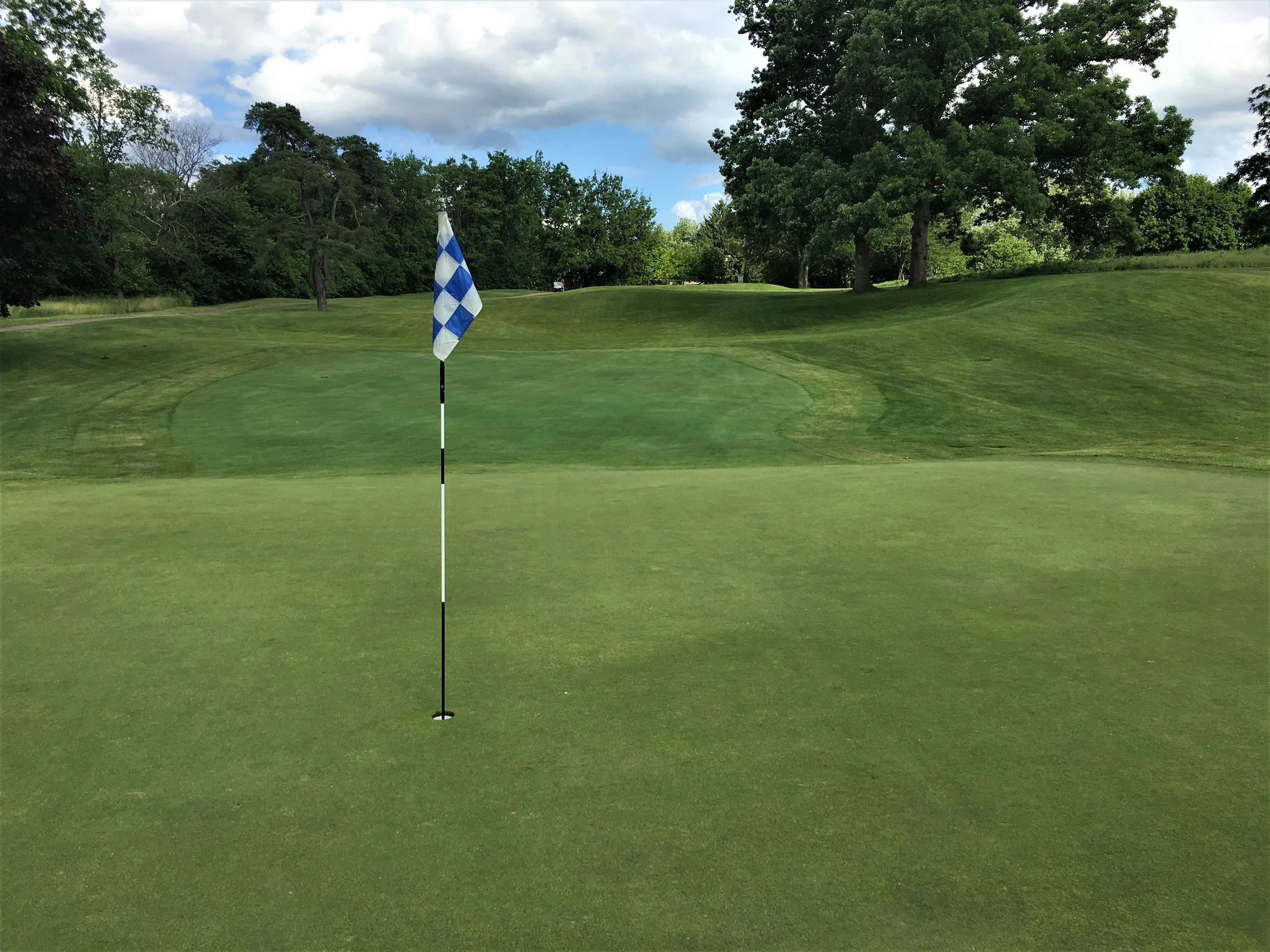 Washtenaw.12th green.2.jpg