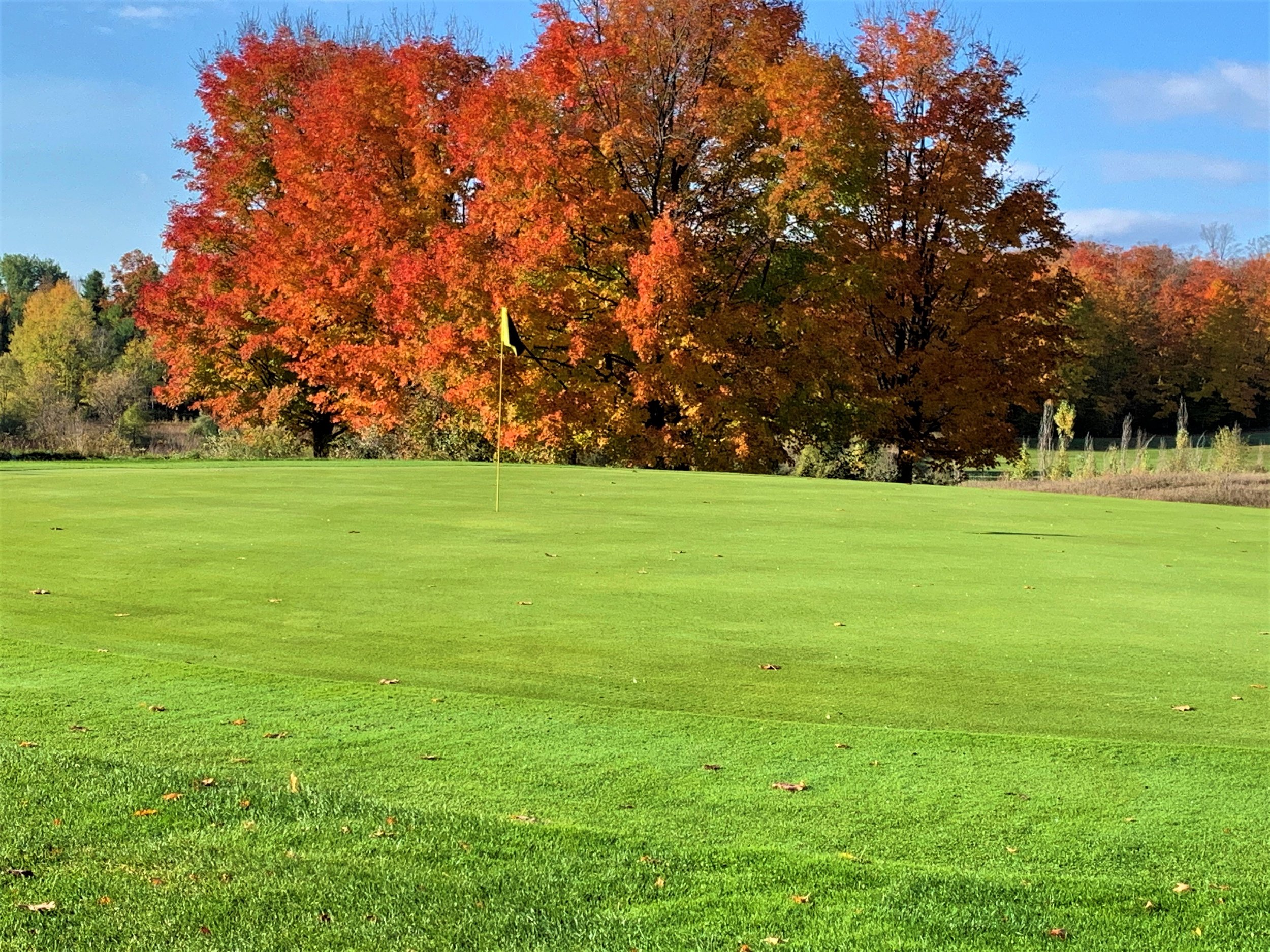 Sugar Loaf Hole 1 green FALL.2.jpg