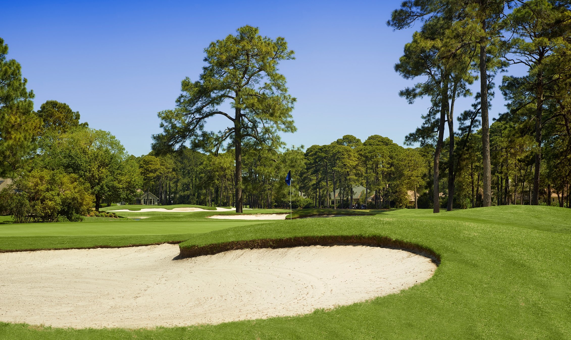 HHI. Golf Heritage Collection Oyster 15 Robbie.jpg