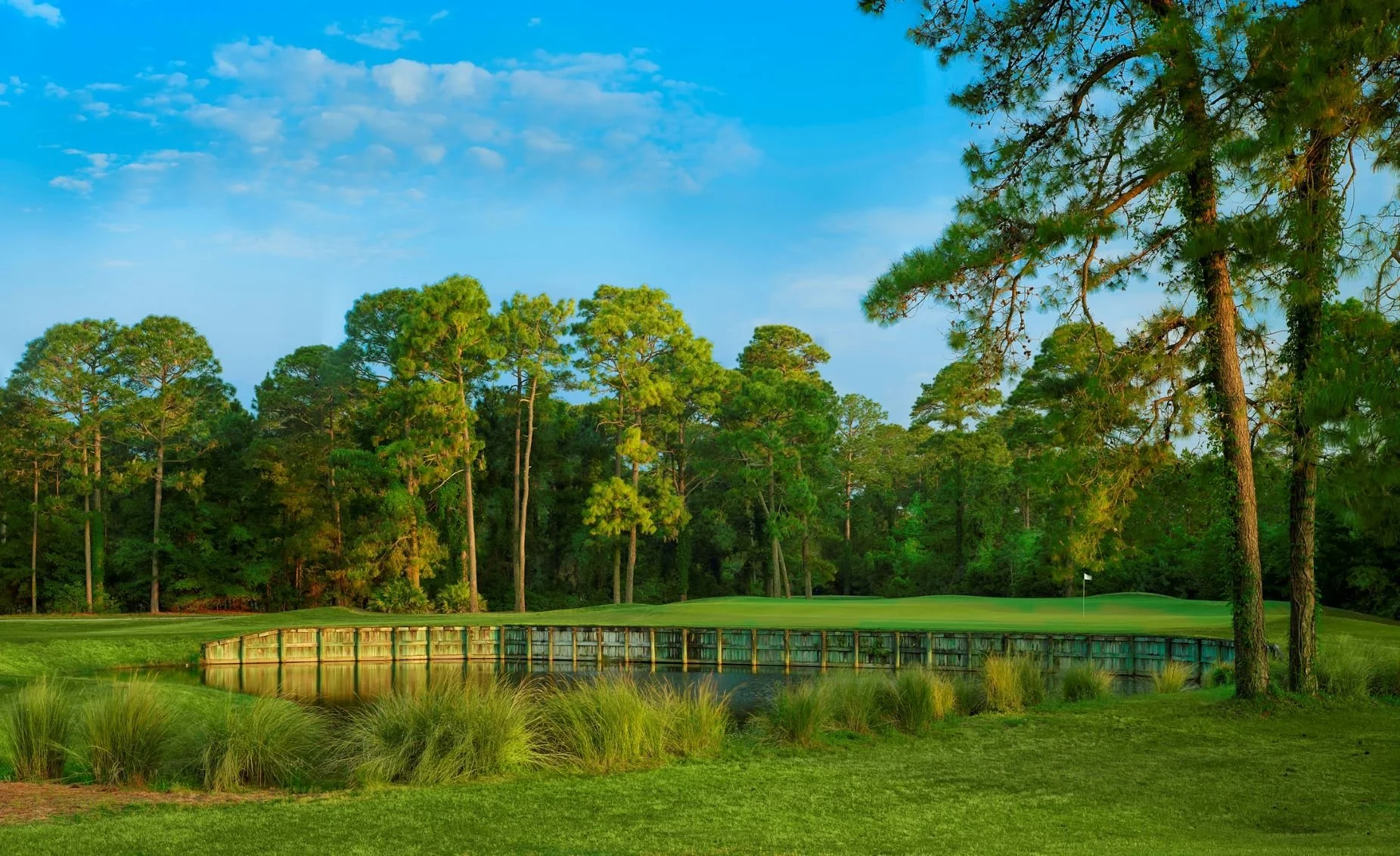 HHI.Golf HERITAGE Palmetto Hall.jpg