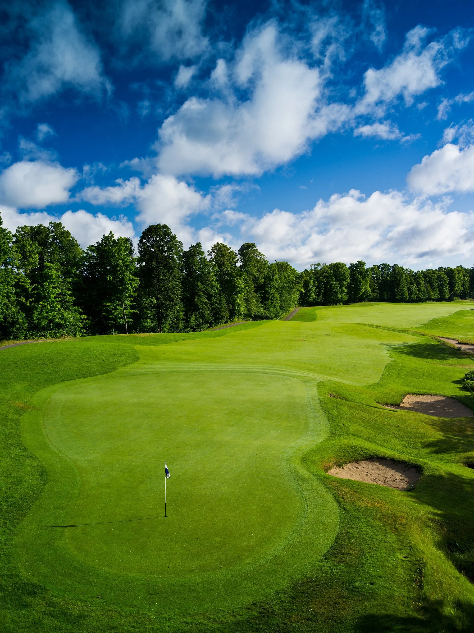 Treetops.Fazio0505.jpg