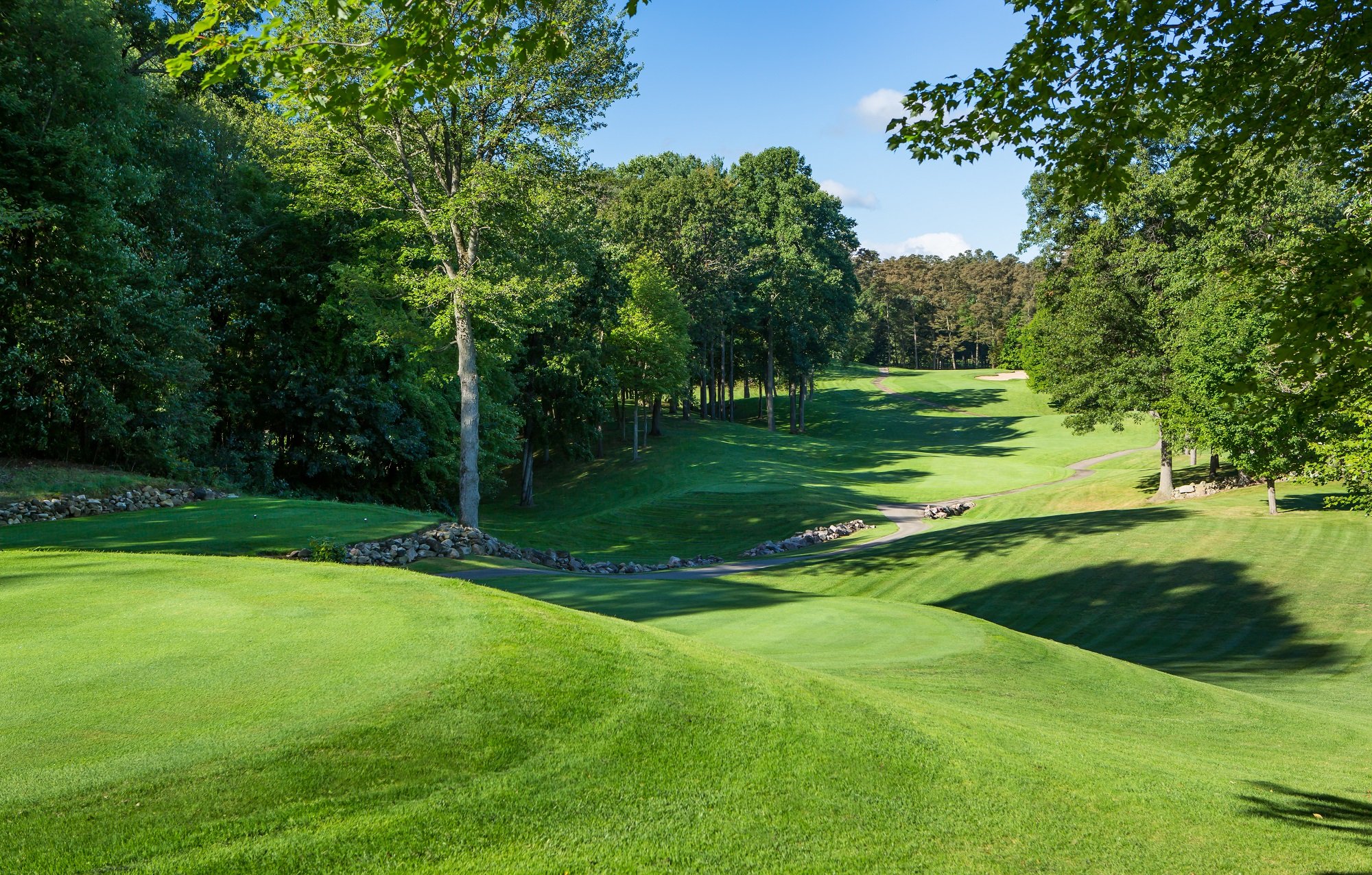 Gull lake South #11 Tee.jpg