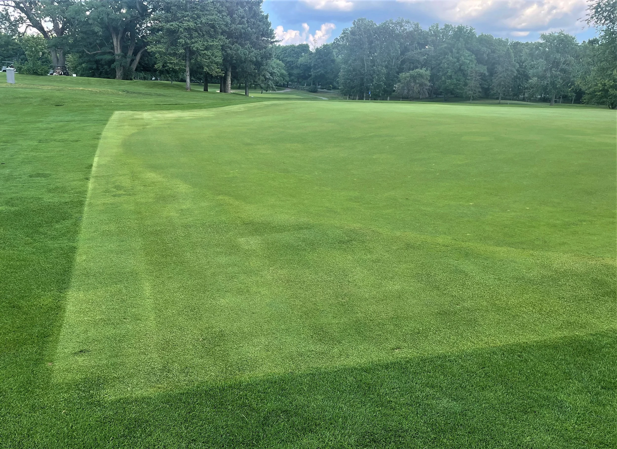 Washtenaw squared off greens.2-1.jpg