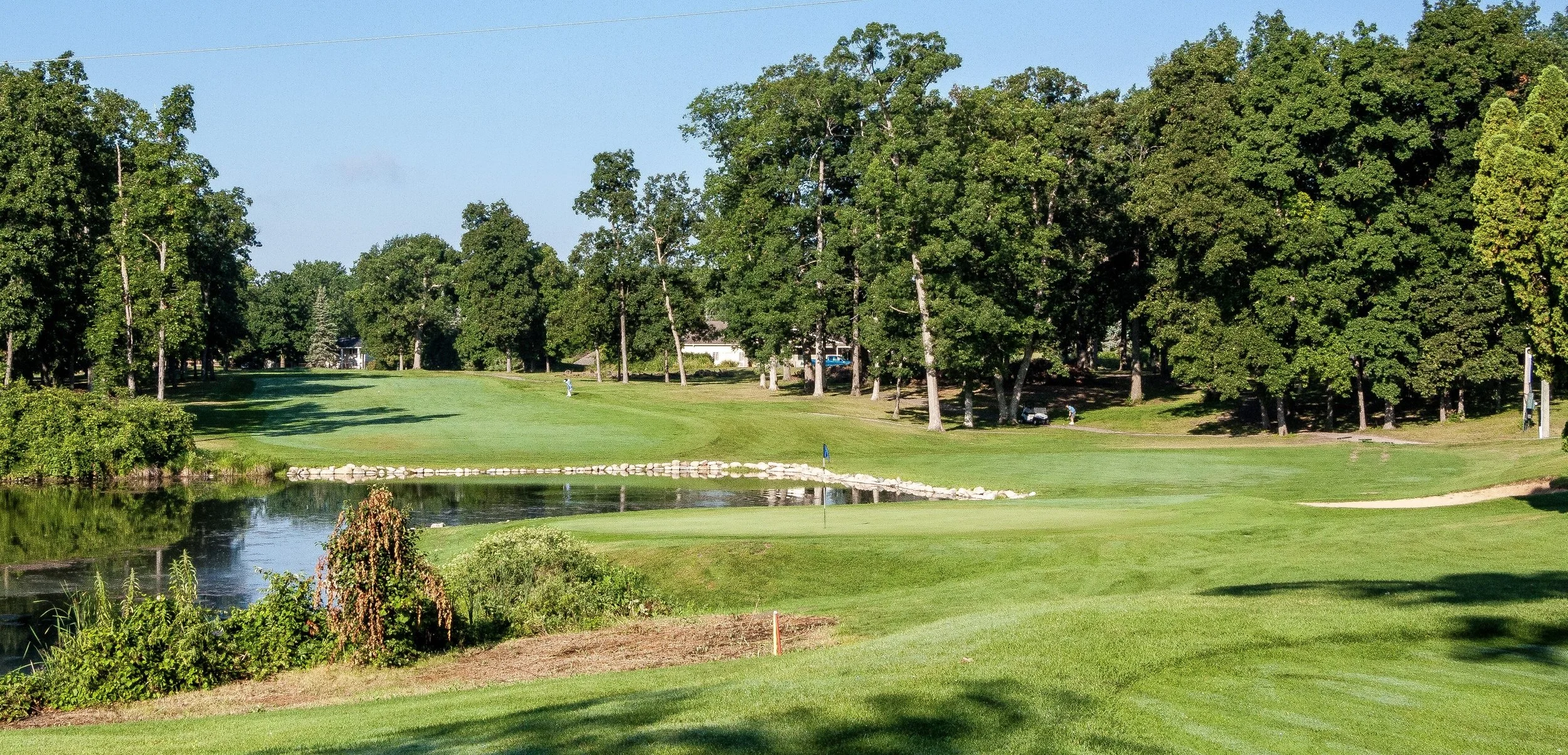 Washtenaw 16th Behind Green Showing Left Fairway-2.jpg