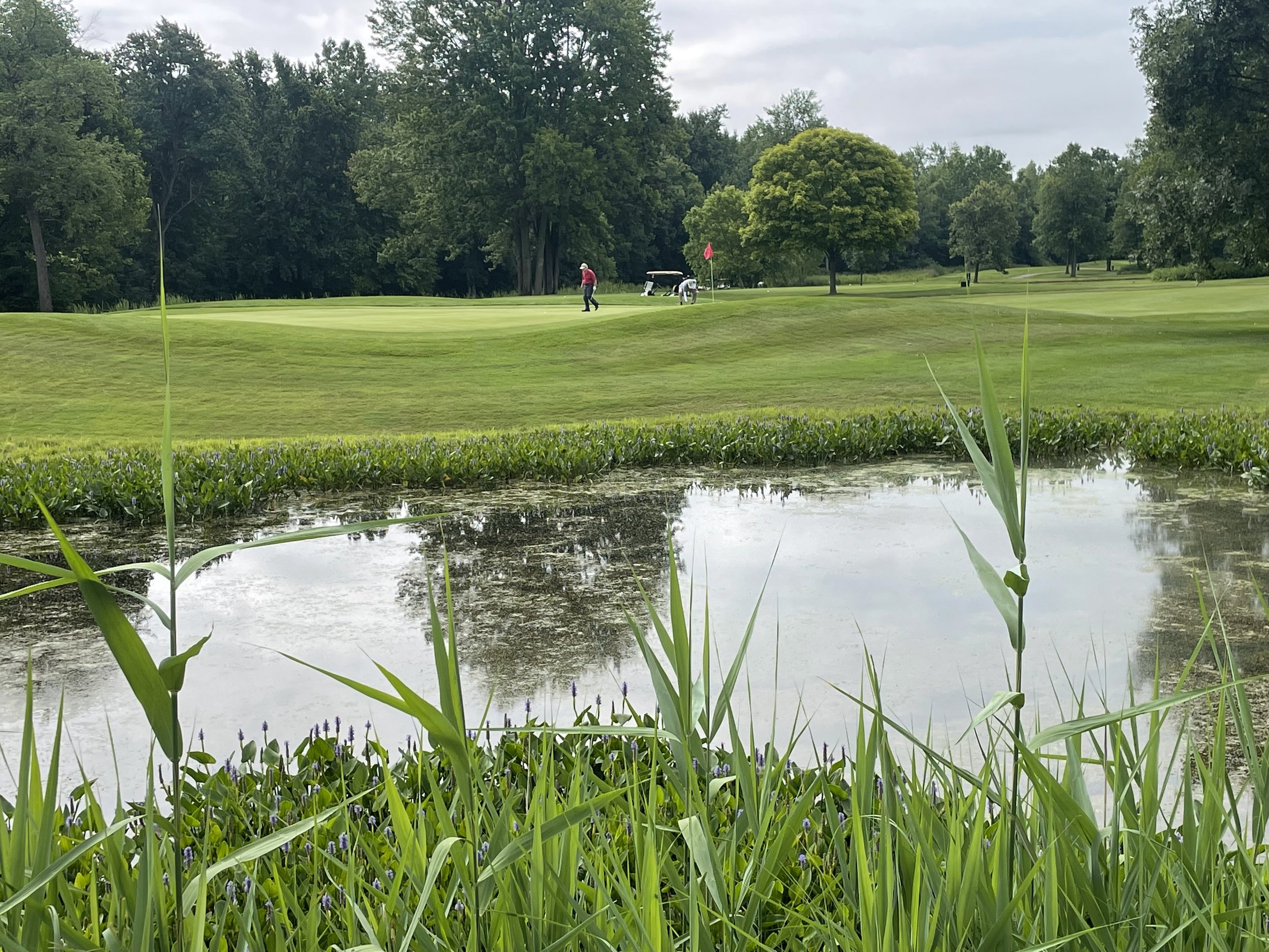 Fox Classic Lakes Hole 4.jpg