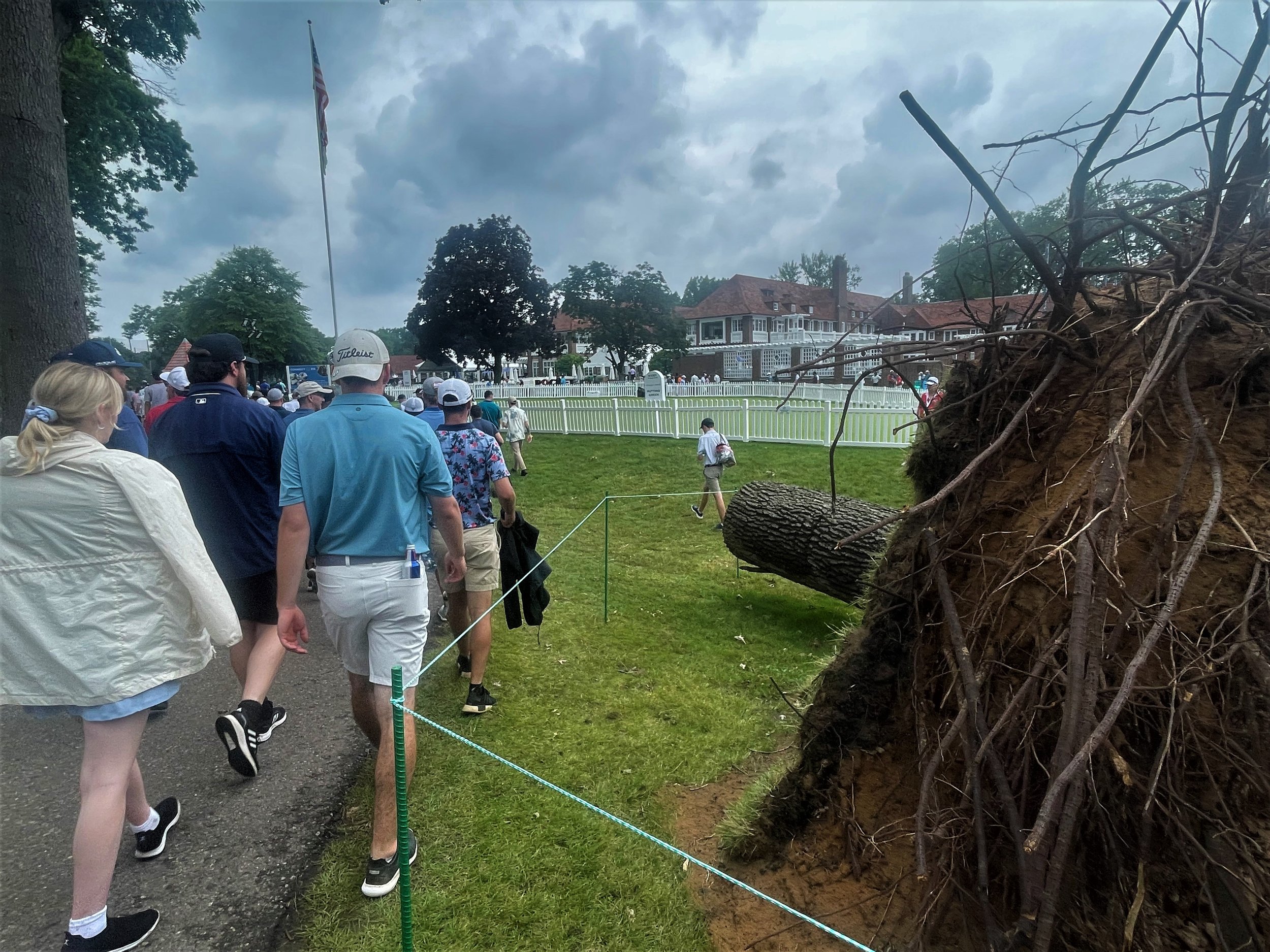 DGC sunday tree down over practice green.jpg