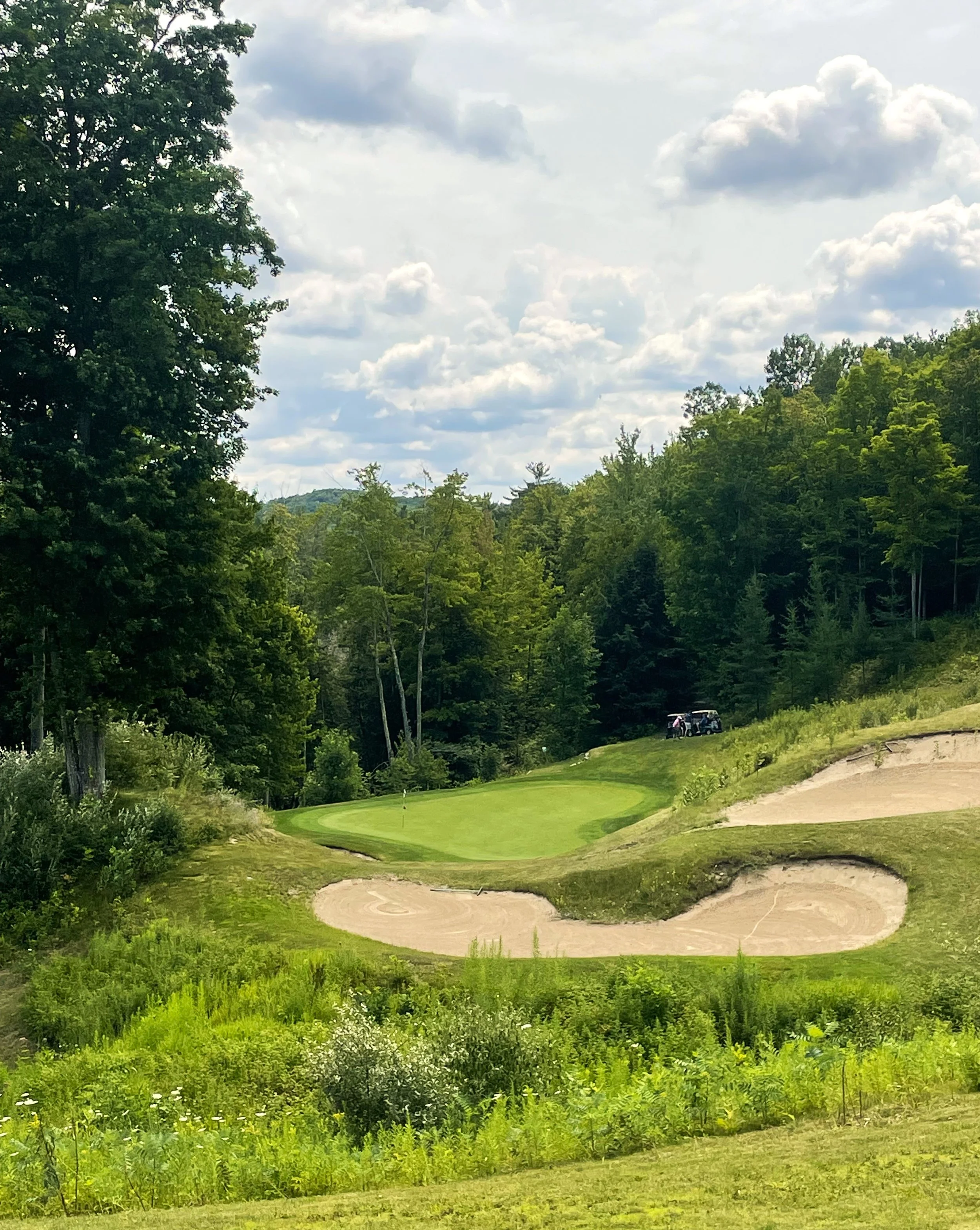 Shanty Creek Cedar hole 14 par 3.jpg