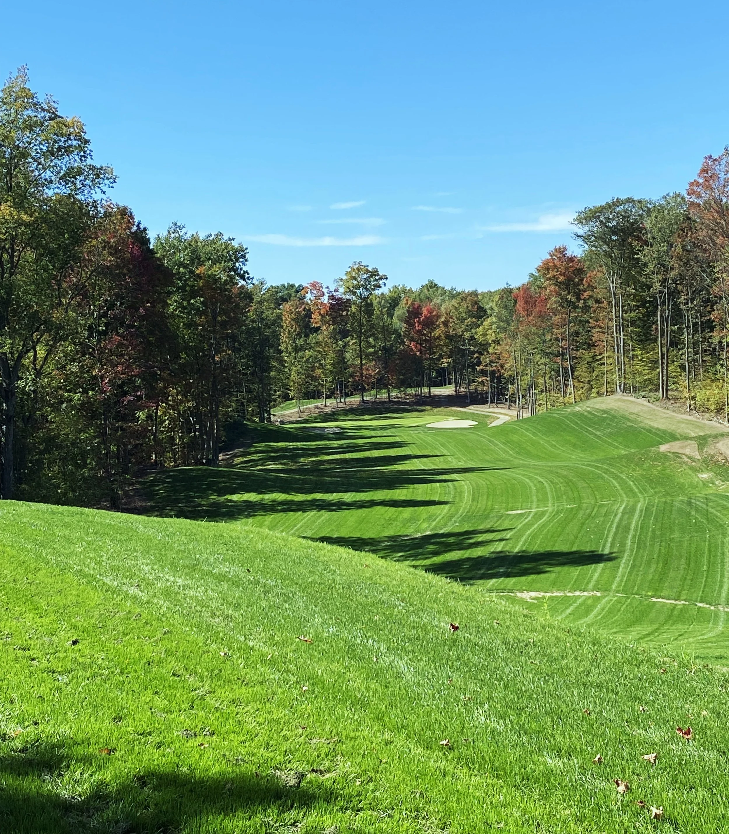 Oceana new 14 some grown in grass.2.jpeg