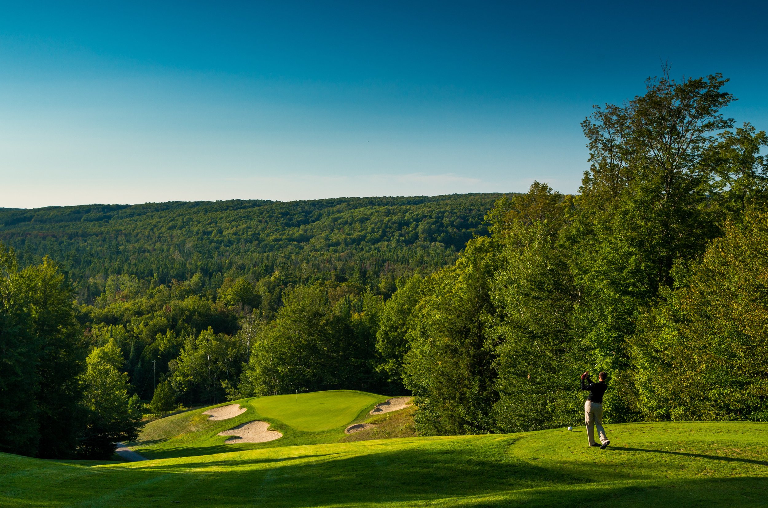 Treetops Jones #6 Tee View Wide with golfer .jpg