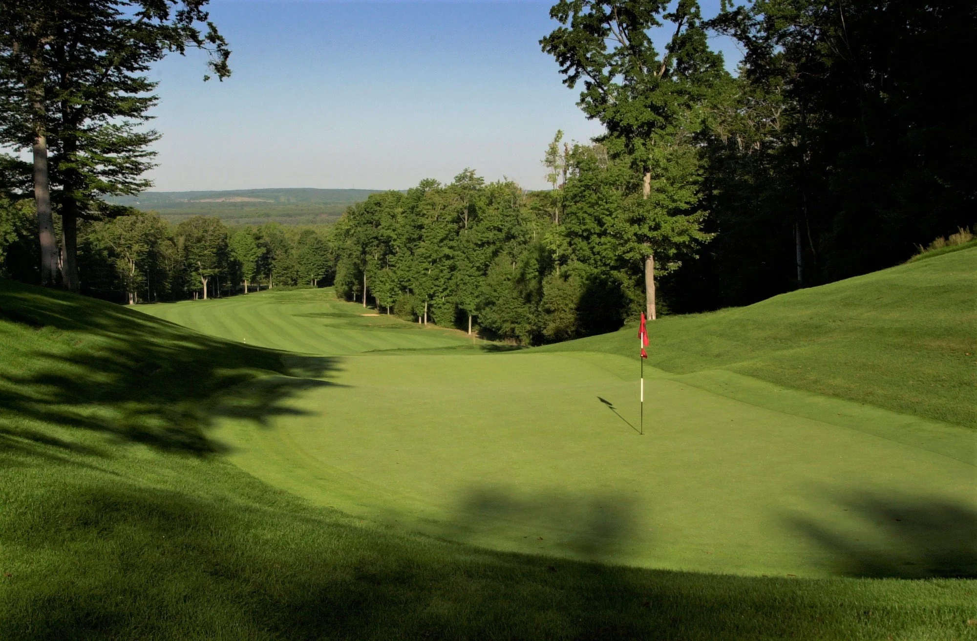 Treetops.Signature#15.jpg