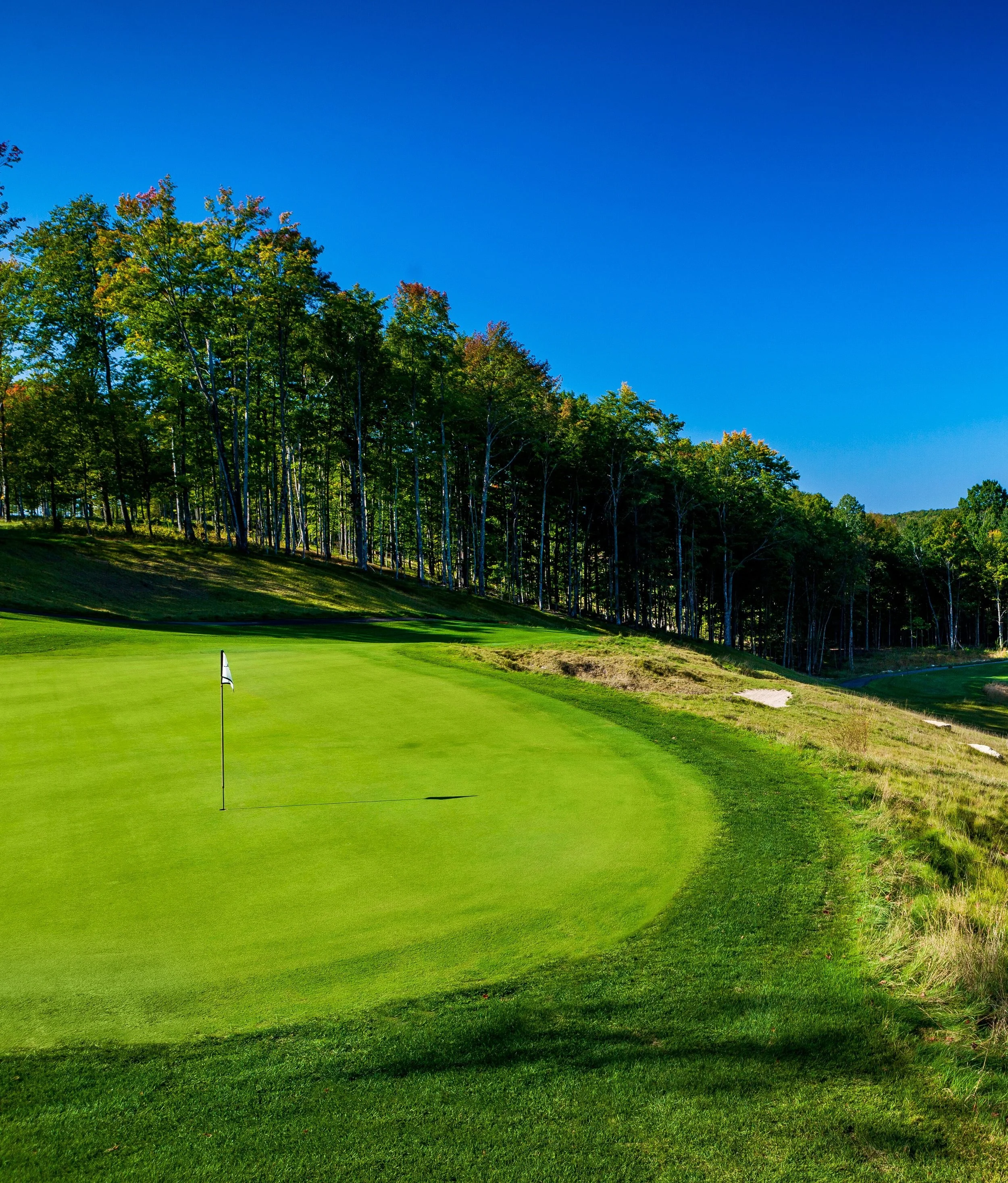 Sage Run No. 5.vertical.jpeg