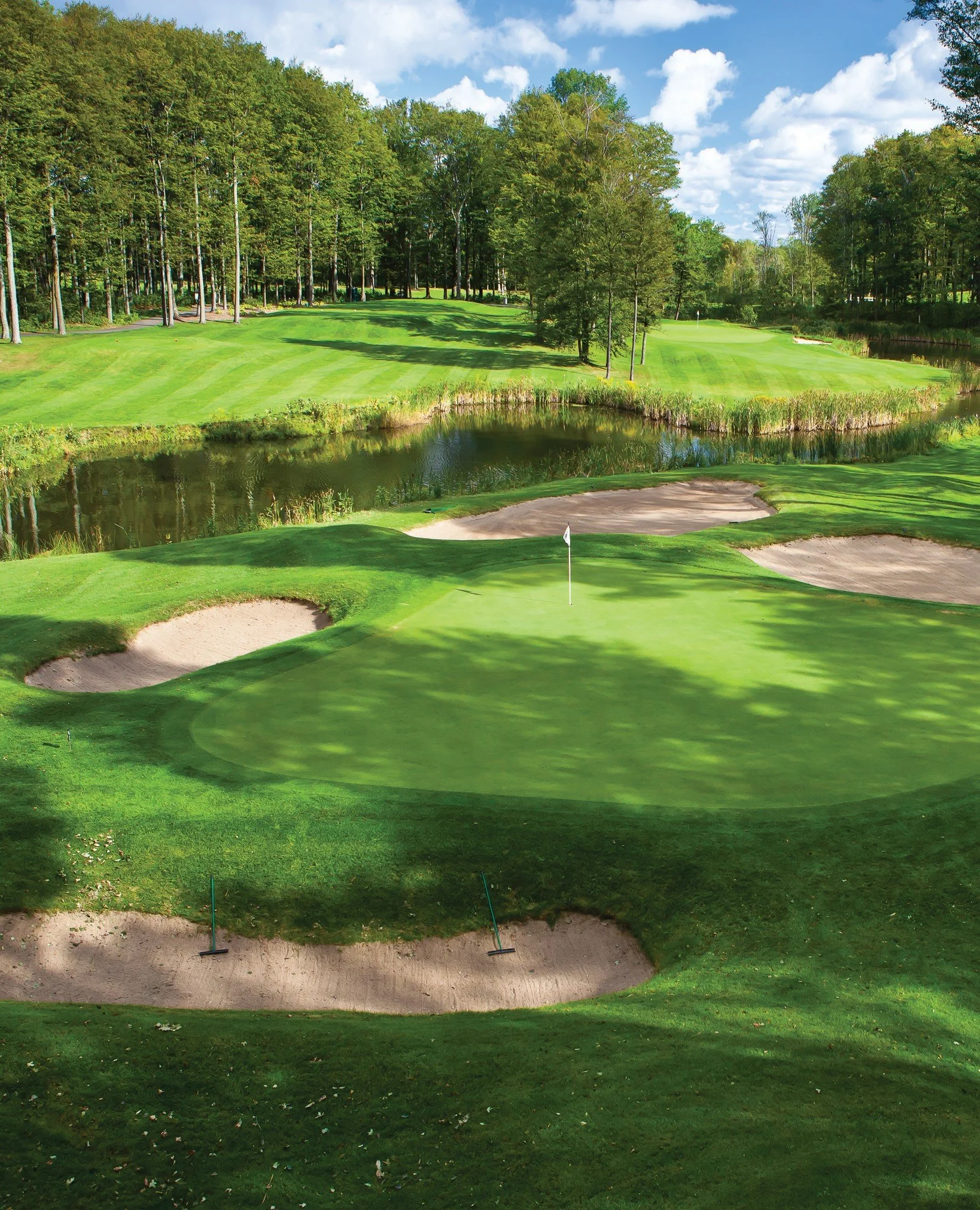 GTR.The Bear Hole 13 Vert.jpg