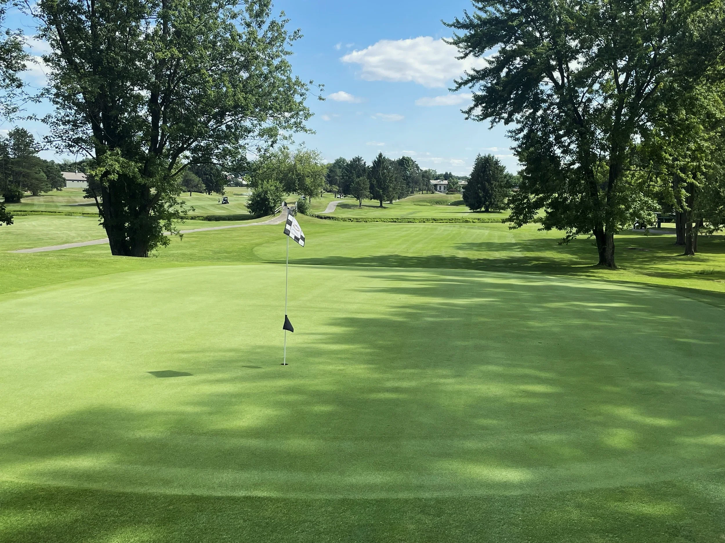 Riverwood 1st green.jpg