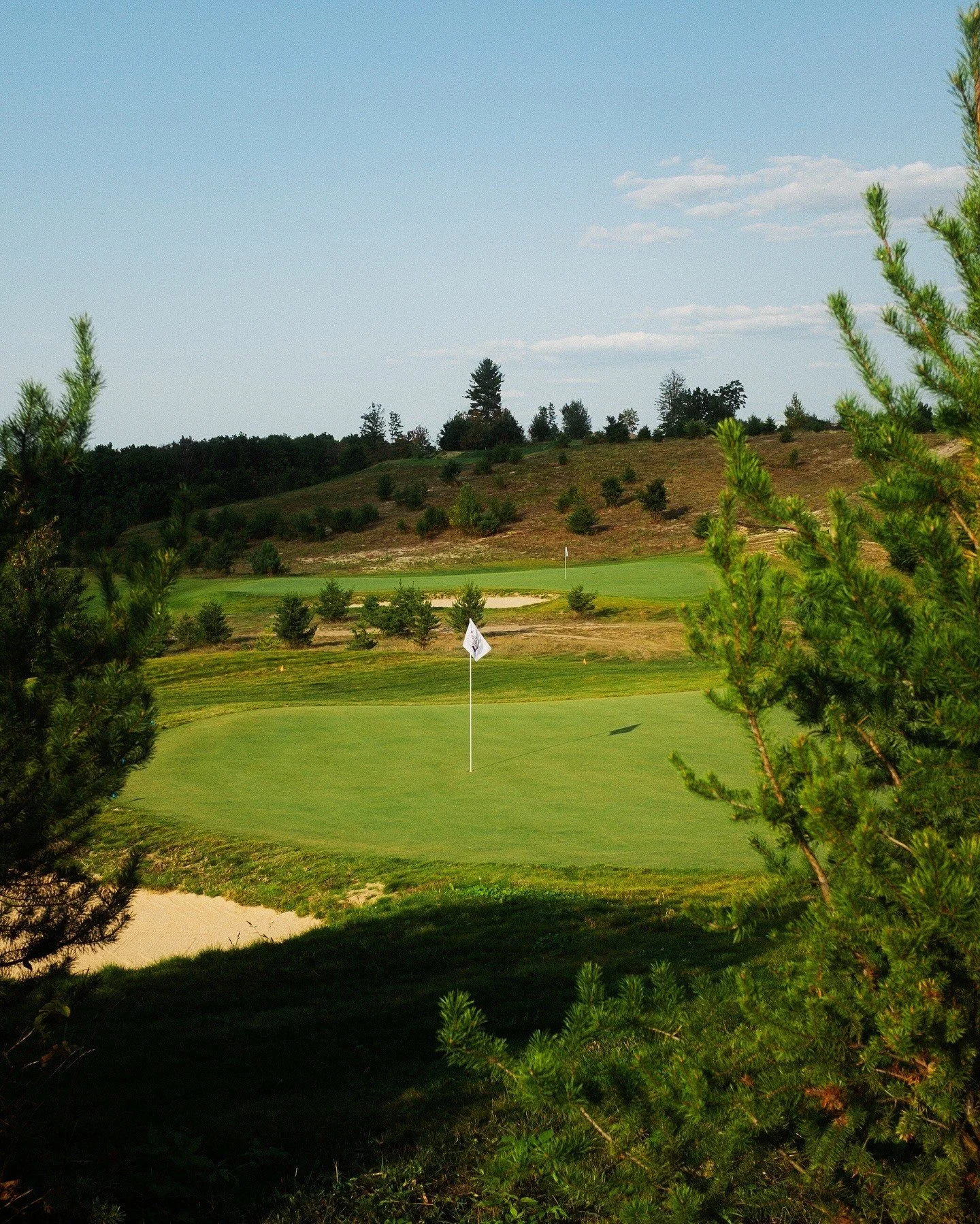 High Pointe thru the pines.JPG