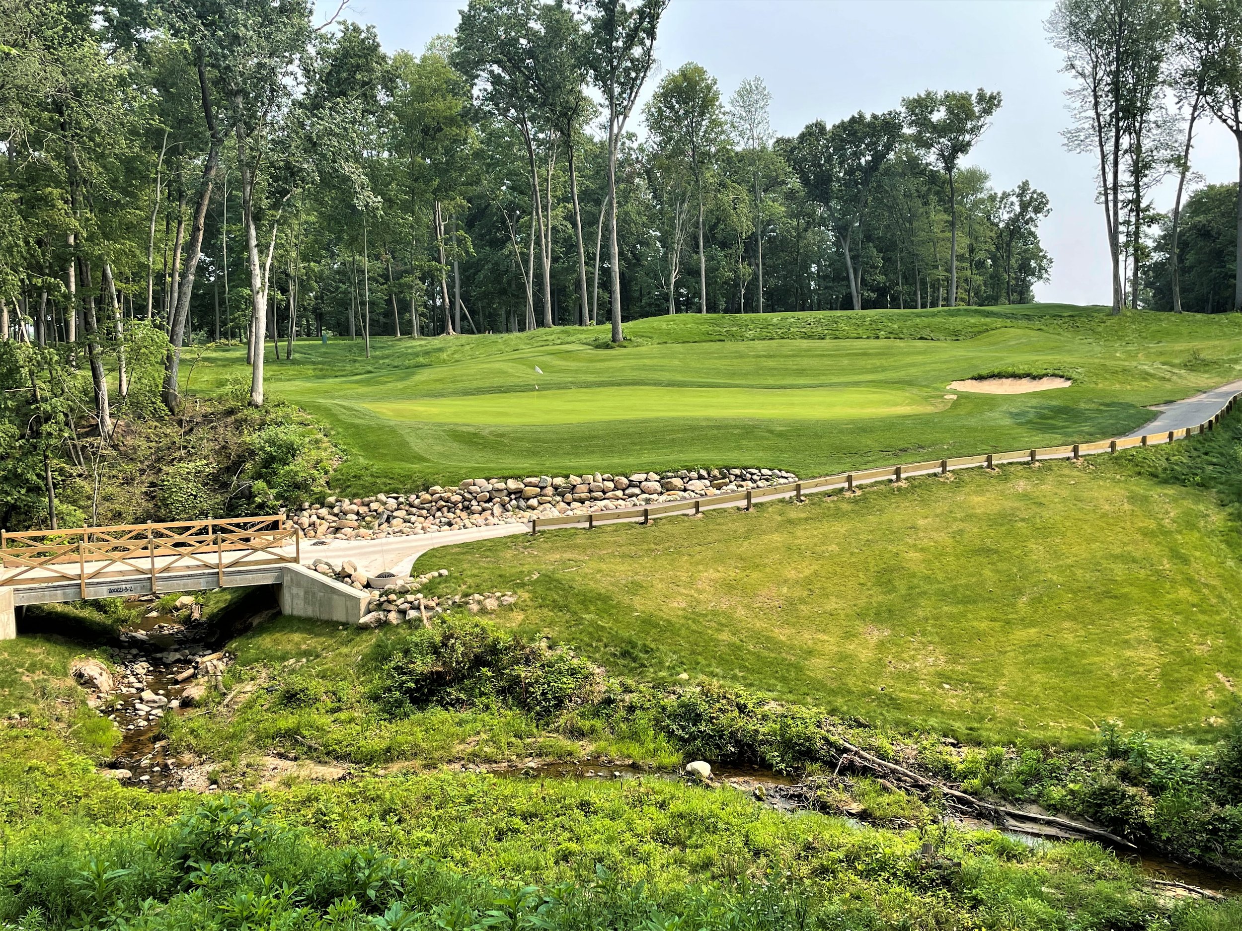 Saskatoon Silver 6.jpeg