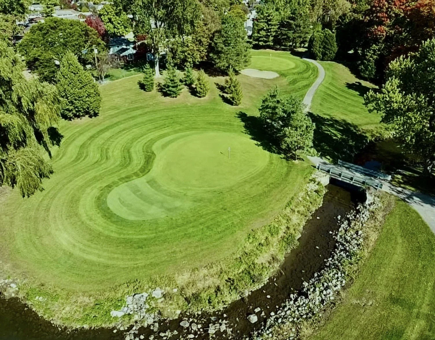 Idyl Wyld island green.jpeg