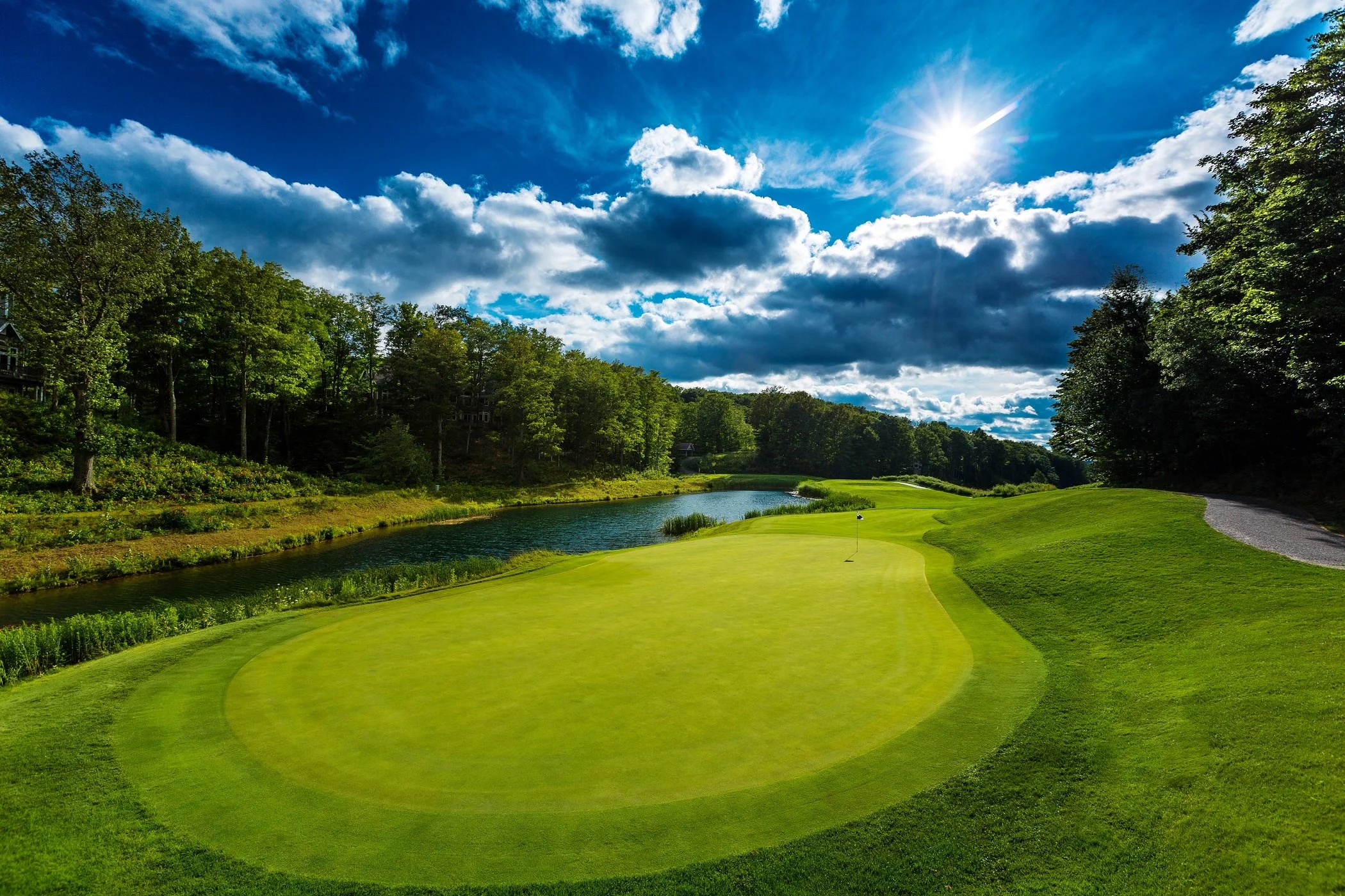 Mecca Treetops Fazio-Hole11-reduced.jpg
