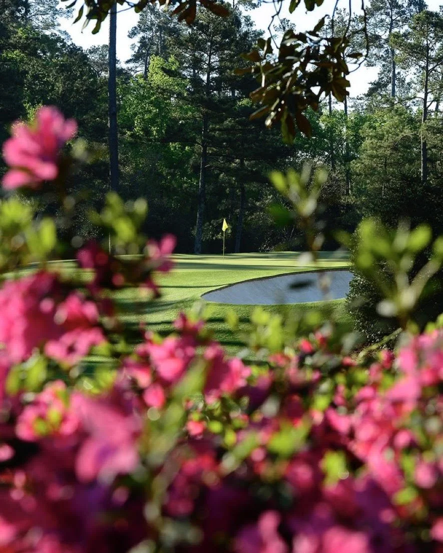 Augusta flowers in foreground.jpg