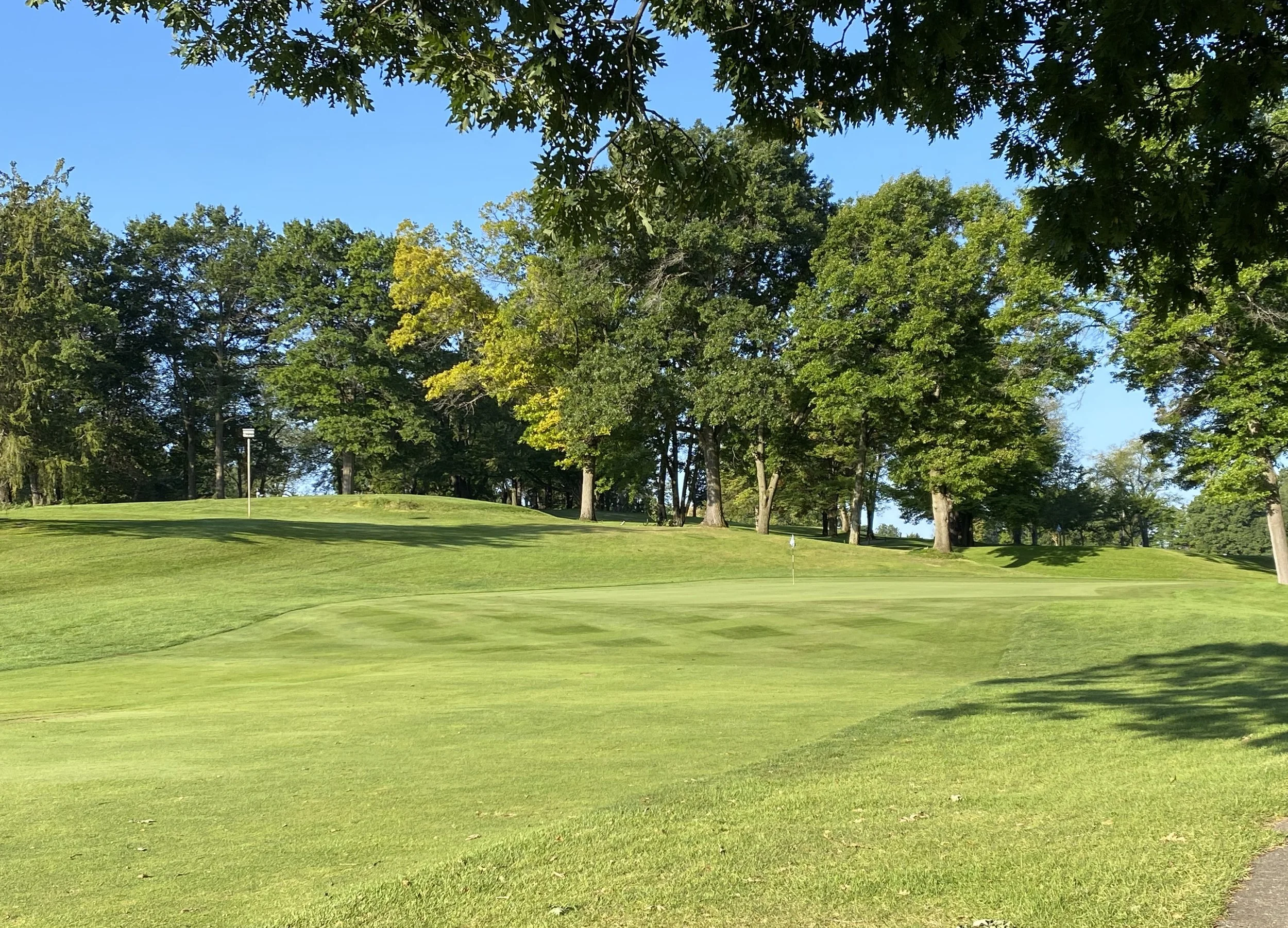 Dunham Hills #14.JPG