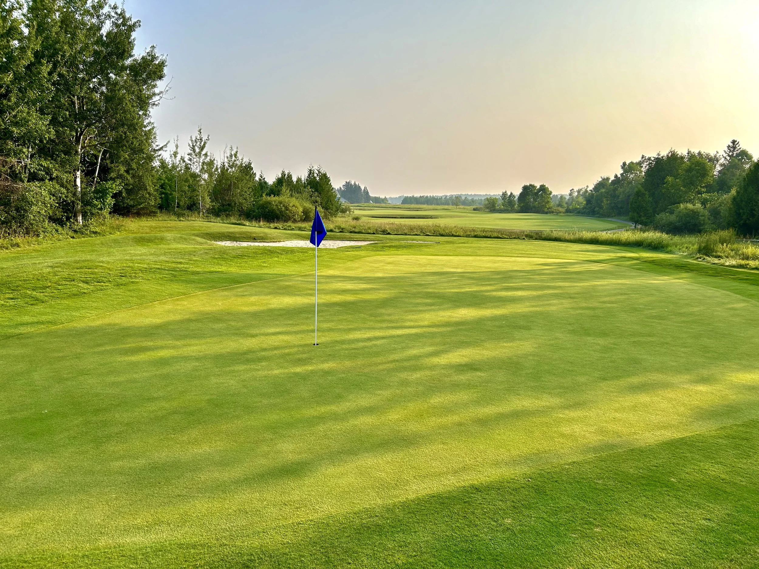 Charlevoix CC 16th green.jpg