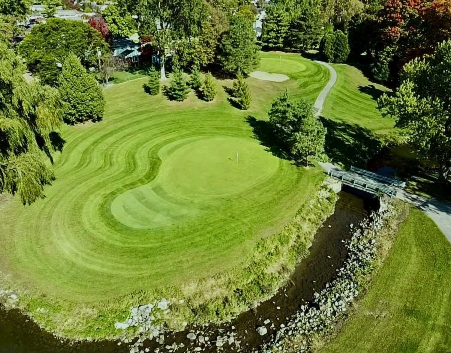 Idyl Wyld island green.jpeg