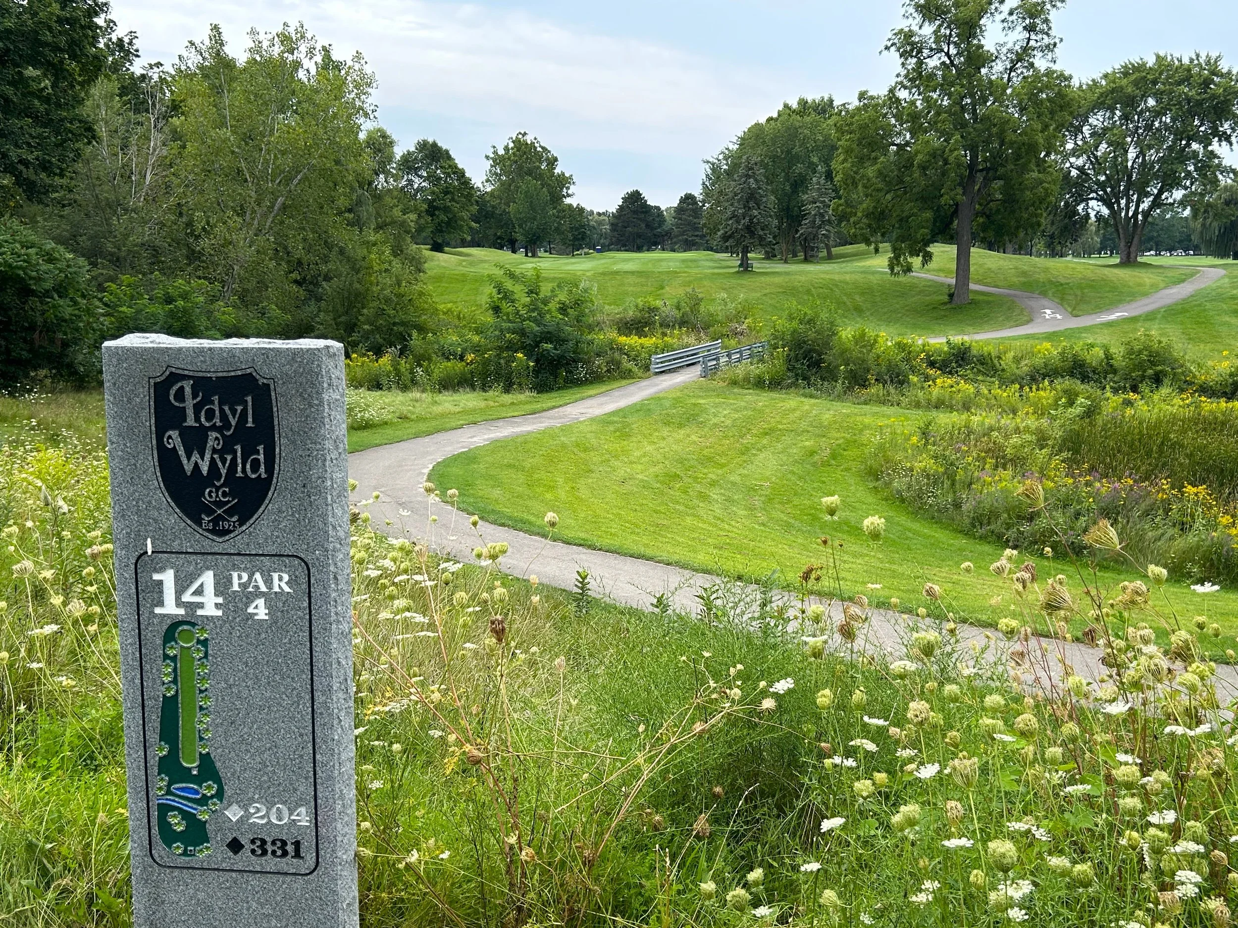 Idyl Wyld 14th tee.jpg