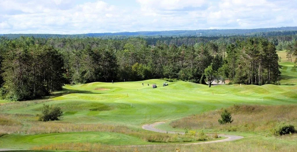 Black Bear long view.2.jpeg