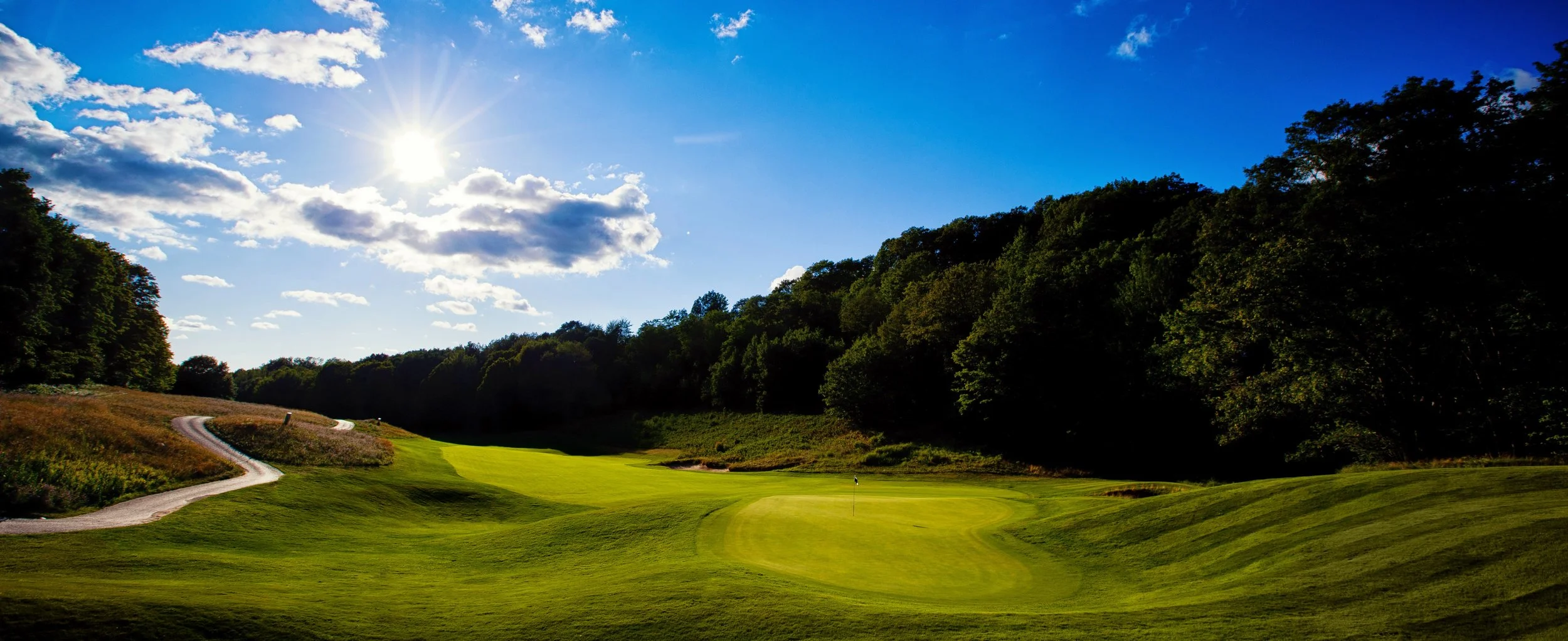 Treetops Fazio Premier cropped.jpg
