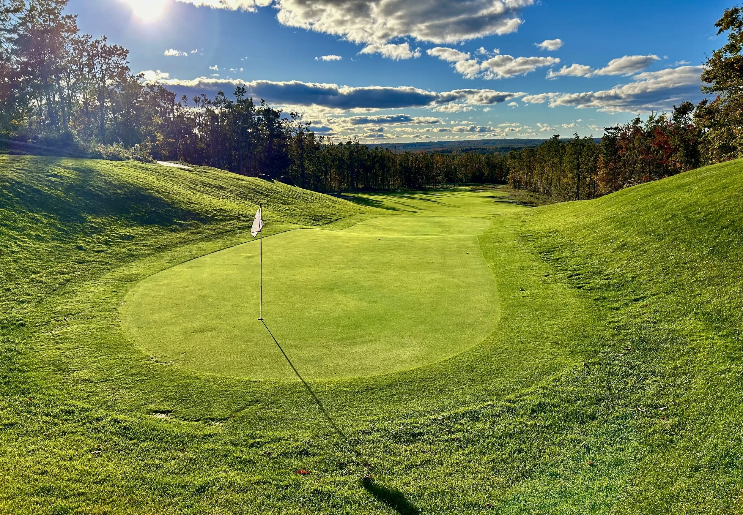 Treetops signature 15 green sunset.jpg