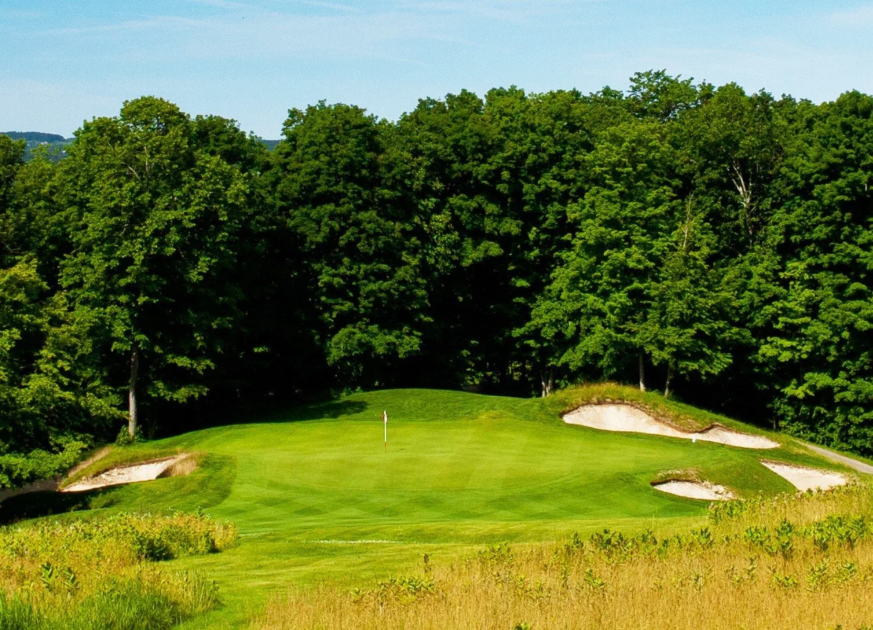 Treetops_golf_signature_17 hole before with trees.jpg