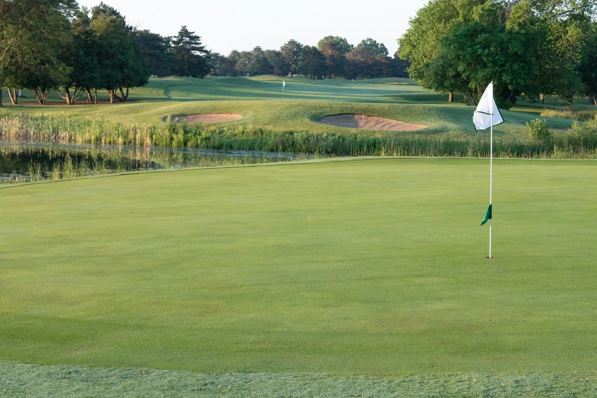 Groesbeck 2 greens.reduced.jpg